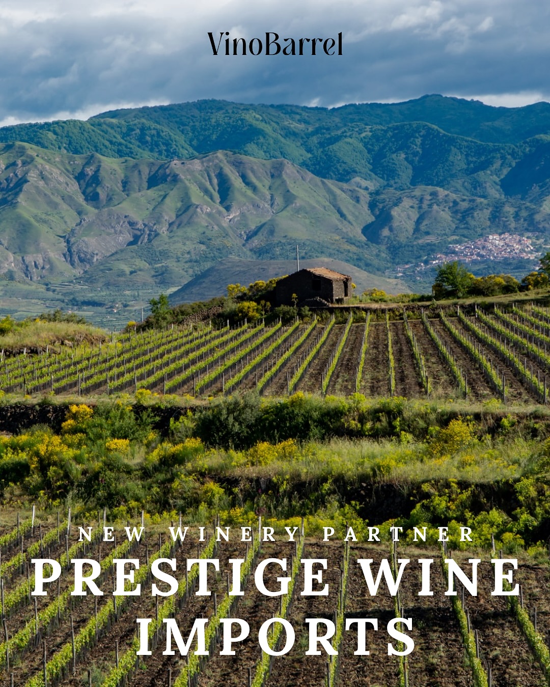 We are delighted to welcome Prestige Wine Imports to our winery program! 🍷
As the exclusive U.S. importer of renowned Italian estates, Prestige brings a portfolio rich in heritage and award-winning quality. 🇮🇹
Featured Labels:
🍇 Mezzacorona – Celebrated for its elegant and crisp wines from the Italian Alps. The 2023 Ventessa Pinot Grigio recently earned a Gold Medal and 93 points at the USA Wine Ratings.
🥂 Rotari – Producers of Trentodoc sparkling wines, with the 2011 Flavio receiving the prestigious “Tre Bicchieri” award from Gambero Rosso for six consecutive years.
🍷 Castello di Querceto – A historic estate in Chianti Classico, known for its exceptional reds. Their 2023 Tuscan Red Blend earned a Gold Medal and 92 points at the USA Wine Ratings.
❤️ Stemmari – Sustainably farmed wines from Sicily, with the 2022 Pinot Noir awarded a Silver Medal and 87 points at the USA Wine Ratings.
We look forward to sharing these exceptional wines with our community and celebrating the rich flavors of Italy together! 🇮🇹🍇
#ItalianWines #SustainableWine #PrestigeImports #VinoBarrel #WineClub