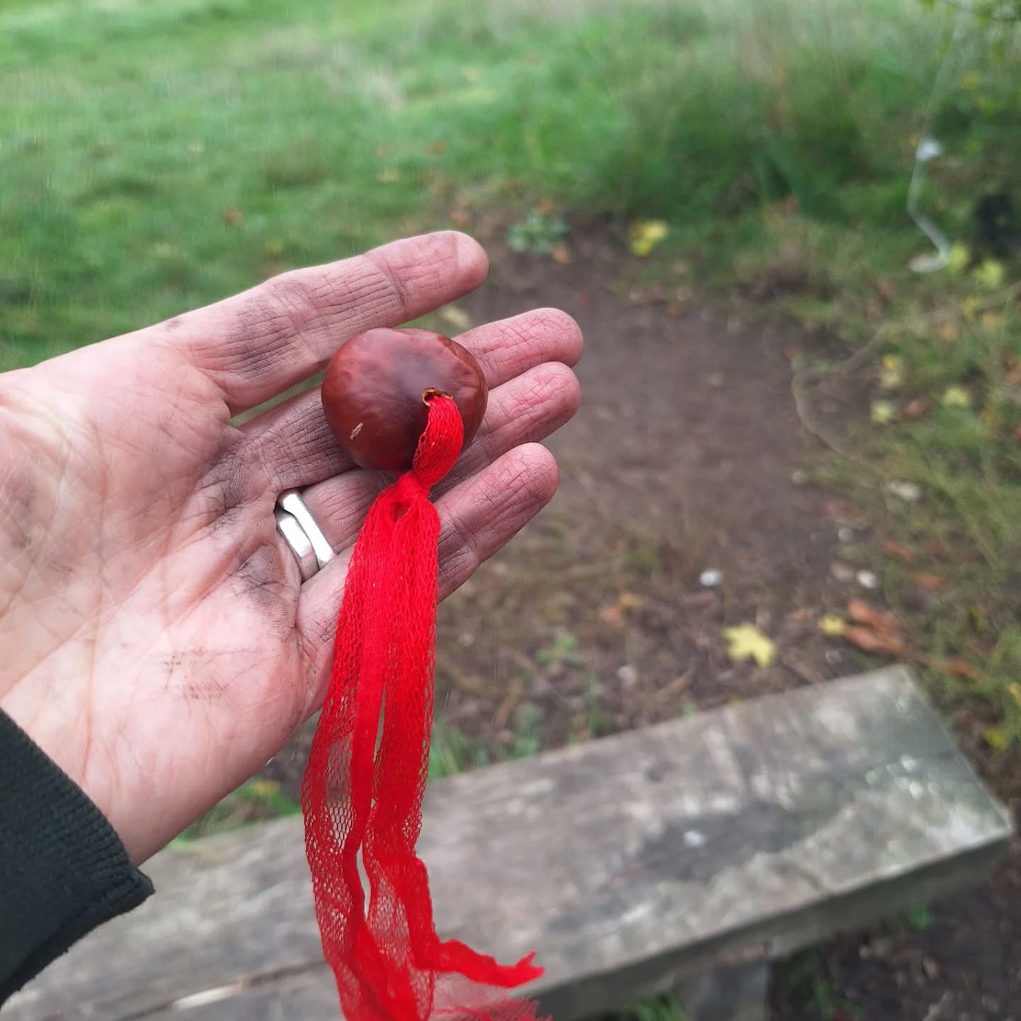 We're in full autumn - spiders, conkers, webs.
I love autumn!
Today I asked how autumn made the kids feel. Everything from excited to warm to sad. It was interesting to hear & unpick the season a little bit.
Apart from hurling conkers around all morning we spent ages looking at this gorgeous spider. It's great to open up the conversation about things not like us, that scare or frighten us.
I can think of a few adults that could do with hanging out with us & the spiders. Spider medicine!
#outdoorlearning #autumn #spiders #conkers