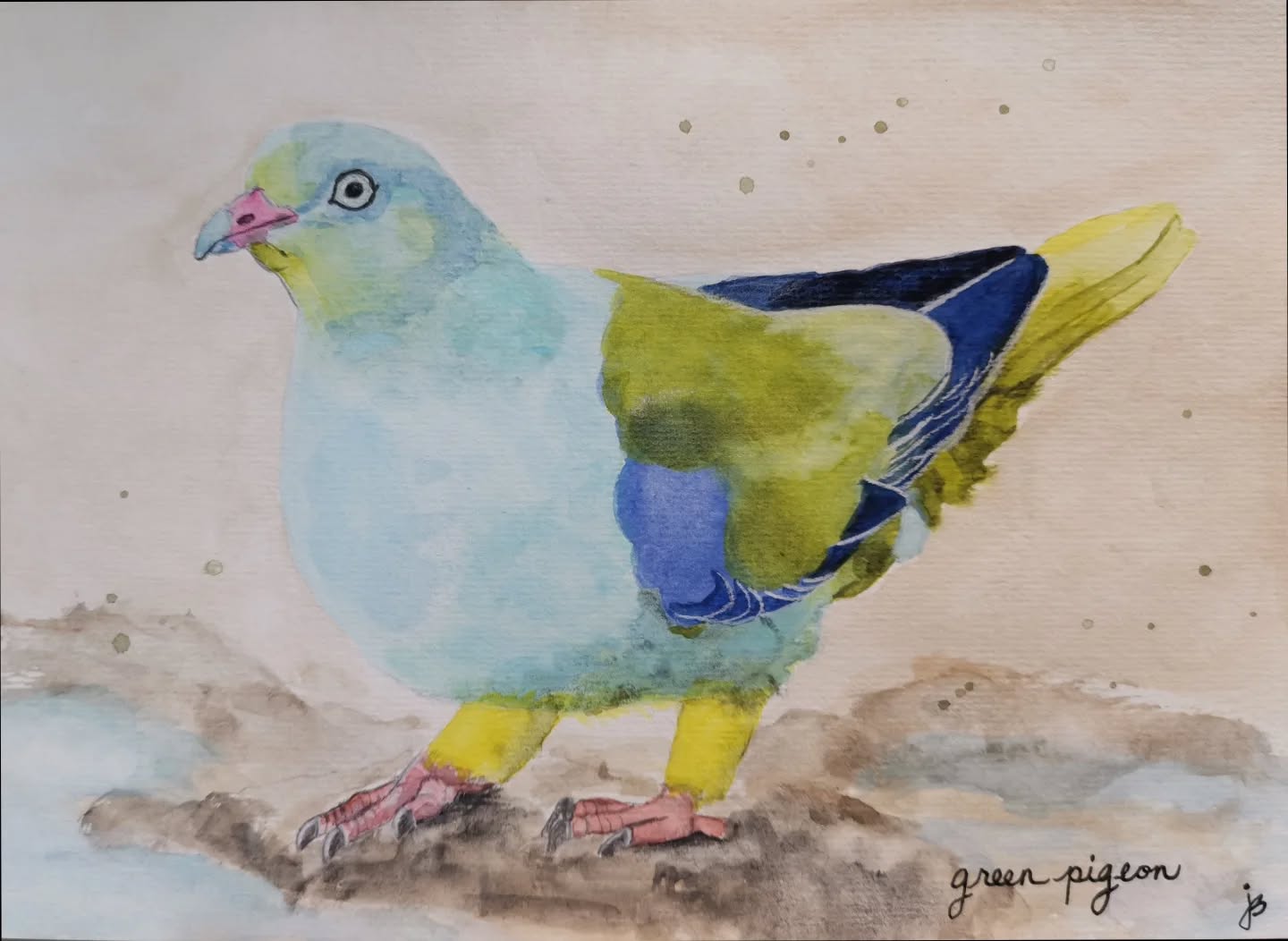 I really enjoyed painting this African green pigeon.
Day 6 #Birdtober2025 #birdtober
This year I'm using watercolor, neocolors II, pencil crayons, charcoal, and gelly roll pens. Whatever floats my 🐦
I'm working on Clairefontaine watercolor paper 5.8x8.3" (A5) cold press paper.
@aholmesartstudio #ilovebirds #bird #birdartist #birdart #birddrawing #birdpainting #birdillustration #birdnerd #birbs #painting #drawing #illustration #birdchallenge #watercolorart #watercolorpainting #pencilsketch #fabercastell #clairefontainepaper