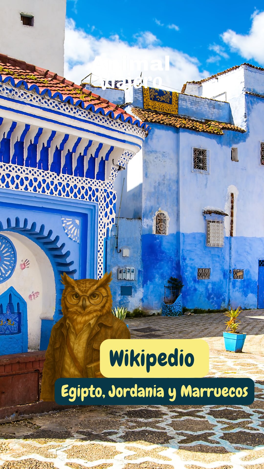 El Wikipedio viaja para aprender, no solo para ver.
Si eres #Wikipedio, sabes que cada piedra tiene una historia y cada viaje es una lección.
Tu destino ideal: Egipto, Jordania y Marruecos 🇲🇦
Con Animal Viajero no eres turista, eres estudiante del mundo.
¿Listo para tu próxima clase de historia en vivo? ✔️🙌🏻
#AnimalViajero #Wikipedio #ViajesCulturales #Egipto #Marruecos #Jordania #agenciadeviajes
#ConexiónViajera #ViajarConPropósito #ViajesQueTransforman