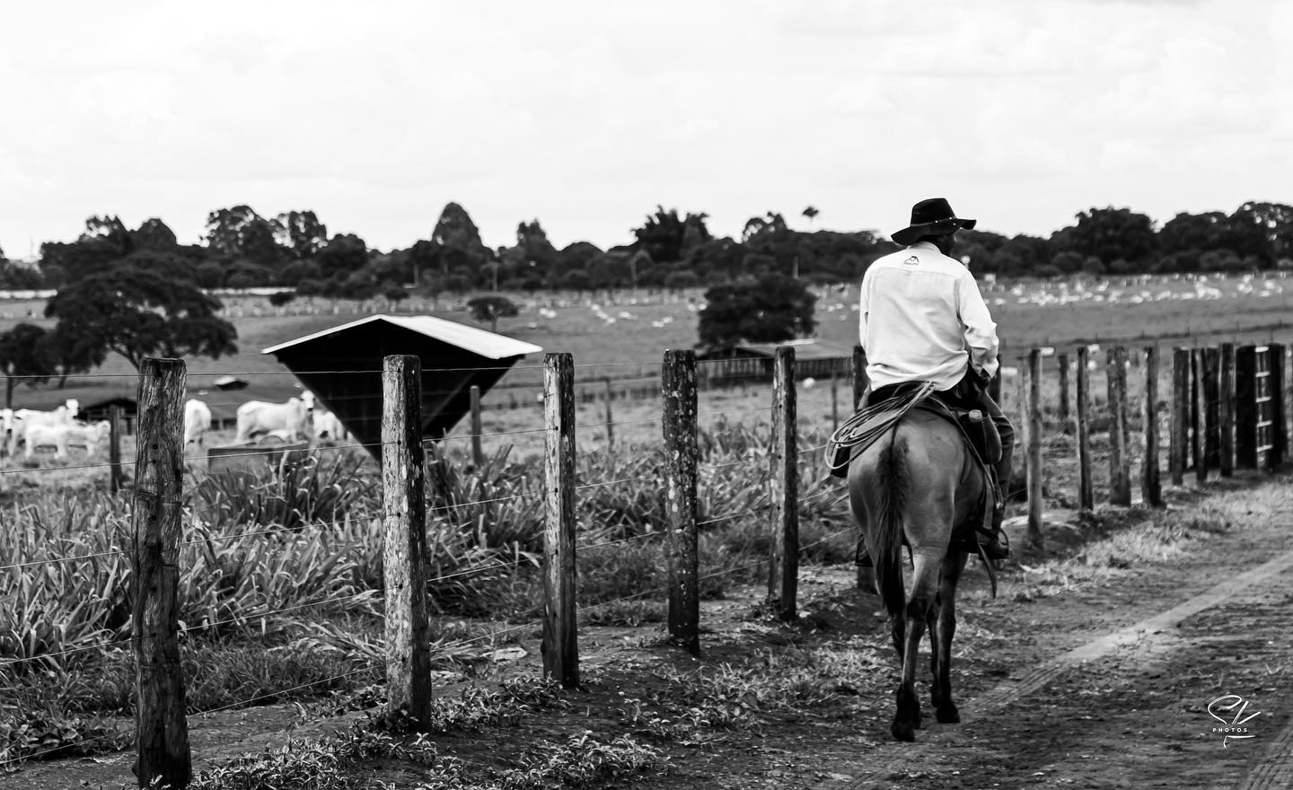 Existem coisas que fazem a alma pulsar de uma maneira diferente.
Que carregam um ar q faz a criatividade aflorar.
Existem coisas q fluem pela gente
Q fazem da vida mais vida.
E por isso carregam um pouco da nossa alma.
É sobre respeitar o tempo da criatividade.
Do fluir. Do ser e florescer.
Existem coisas q fluem tão de dentro q precisam seguir o seu próprio tempo…
.
.
.
#tbt #fotografia #fotografiapretoebranco #fotografiandosk