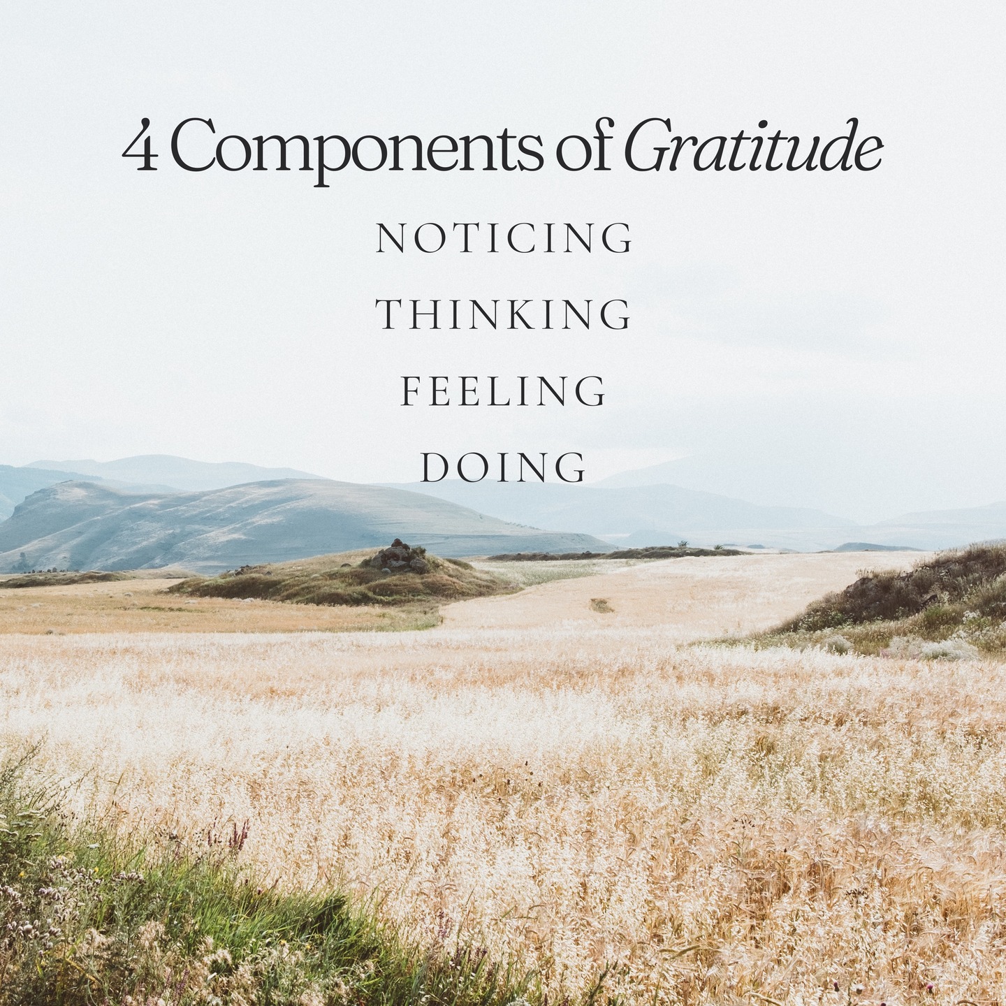 Incorporating the four components of gratitude into our daily lives can have a powerful impact on our mental health. When we take time to notice the small moments of goodness around us, think about where those blessings come from, feel genuine appreciation, and express it to others, we shift our focus away from what’s lacking and toward what’s meaningful. This intentional practice strengthens positive thinking, reduces stress, and fosters connection — both with ourselves and those around us. Over time, gratitude becomes more than a fleeting emotion; it becomes a mindset that nurtures peace, resilience, and overall emotional well-being.