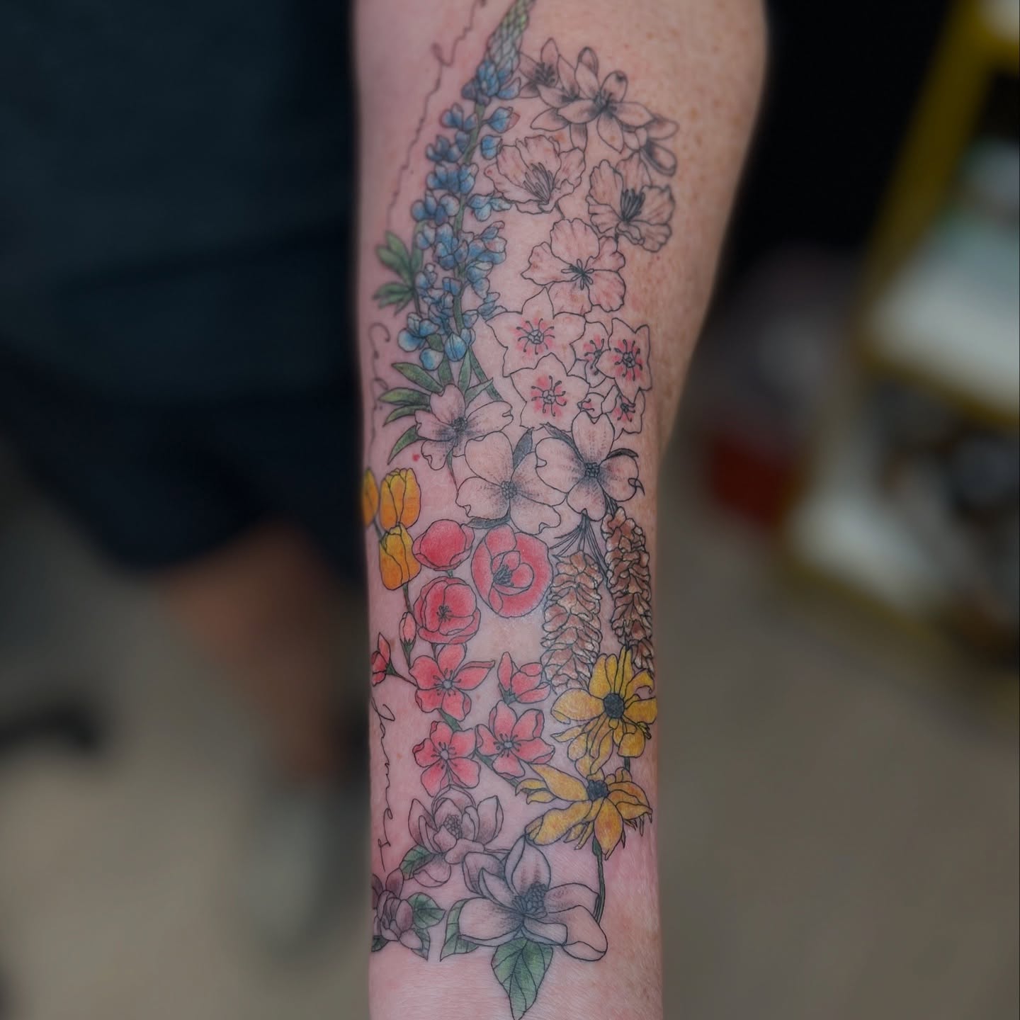 All the state flowers from the places she has lived! I loved this project!
#sanantoniotattooartist #femaletattooartists #customtattoo #colortattoo #finelinetattoo #floraltattoos