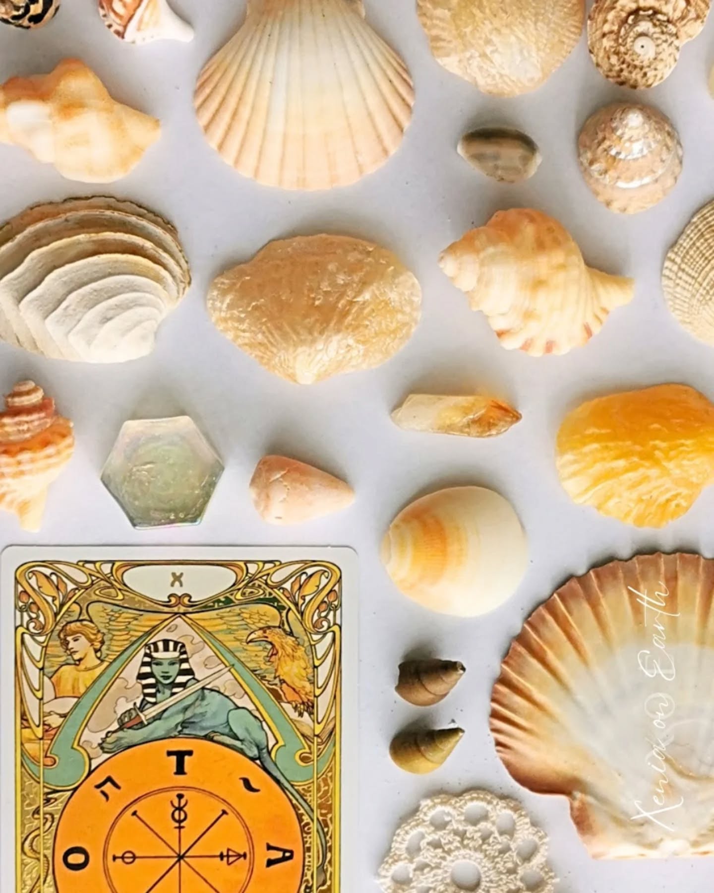 Shell divination is an ancient practice that has fascinated cultures around the world for centuries. This mystical art uses shells as tools to gain insight, guidance and clarity about life’s questions and challenges.
Whether you’re a curious beginner or someone seeking a deeper spiritual connection, understanding the power of shell divination can open new doors to self-awareness and decision making.
Shell divination offers a unique blend of symbolism, intuition, and natural energy, its benefits go far beyond simple fortune telling.
✨ A deeper connection to nature, as shells mirror the ocean’s rhythm, a powerful symbol of emotion and the subconscious.
✨ Enhanced intuition, as the process teaches you to trust your inner voice and develop your psychic sensitivity.
✨ Clarity and guidance, providing answers to complex questions and helping you make aligned choices.
✨ Stress relief, as the ritual itself becomes meditative and calming, reducing anxiety and restoring peace.
✨ And cultural wisdom, drawing from Indigenous and ancestral practices that have long used shells for healing and decision making, a rich heritage of oceanic knowledge to honour and learn from.
The shells act as a mirror to the subconscious, revealing hidden truths that rise gently to the surface when you’re ready to see them. Remember, the true power of shell divination lies in its ability to connect you back to your own inner wisdom and the natural world. Whether you seek answers, comfort or inspiration, this ancient practice offers a sacred pathway to insight, awareness and peace.
There are many books, blogs and resources available for you to dive deeper and if you’re curious to experience it firsthand and explore more about this fascinating art you can book a personal Shell Reading through @xeniaonearth