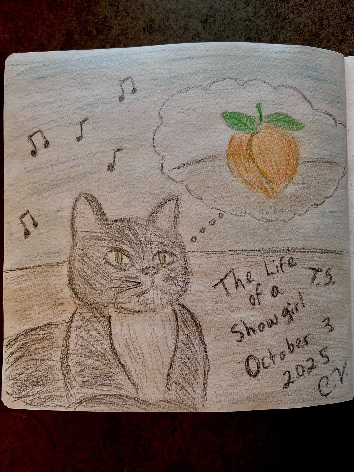 It’s been a blast listening to the new @taylorswift album, especially after watching The Official Release Party of a Showgirl in my local @cinemark movie theater yesterday at 2 pm central.
It led me to create this artwork in my sketchbook. Hopefully I can get some writing done on my next poetry manuscript this weekend.
But for now, I’ll be listening to the album on repeat in between my work as an indie author, indie artist, educator, and web content manager. You can look at some other photos I took from yesterday. P.S. Yes, @sourpatchkids is my favorite candy, but even more after @thesummeriturnedpretty (which features songs of Taylor Swift). #TSTheLifeOfAShowgirl #Caturday