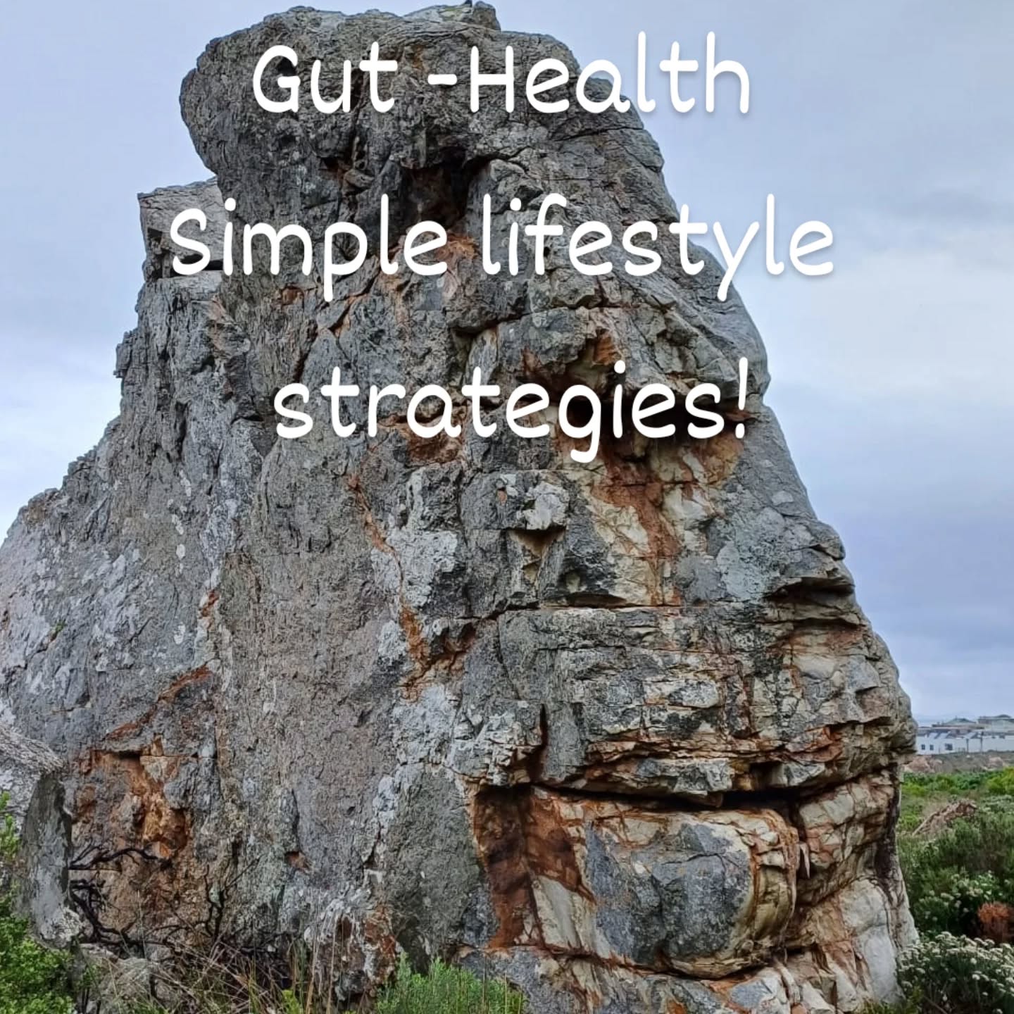 thehealthpilgrim.com