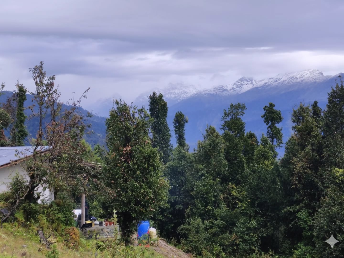 The first snowfall has arrived in the Himalayas — the peaks are covered with fresh snow, the weather at HimVan-Liti has turned a little colder…
winter is coming....
#himvanliti #himalayas #uttarakhand #kumaon #nature #ecoretreat #woods #stay #solitude