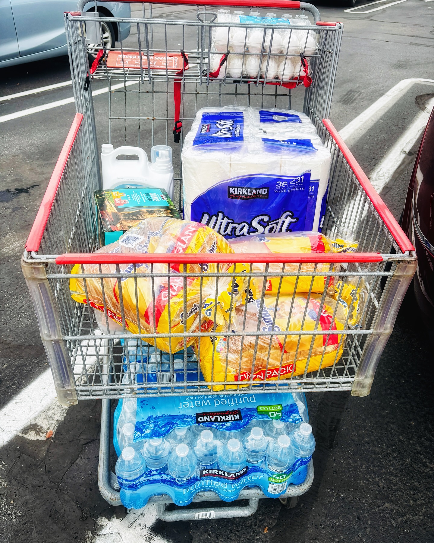 I filled out a Costco donation form online about a month ago, praying we would get approved.
After I printed it and took the form in-person to drop it off, the woman in charge of donations just so happened to be standing at the service desk.
She saw that I put “ongoing” for the outreach date and said, “Perfect! Now when we have available slots I will let you know.”
Multiple people, including the Costco employees, said it would take up to 90 days to get approved.
Ten days later, I received a $100 gift card via email!
This might not seem like a big deal, but it was a massive breakthrough and blessing for us—our first corporate donation—in record timing.
I was relieved to feel God’s favor still on this ministry!
Tomorrow, I will visit Tonya and deliver food, toilet paper, laundry detergent, water, and cat food.
Yes, cat food. I’m a sucker for animals.
When I first went to Tonya’s apartment, I saw she has a cat. And if she and her five kids aren’t eating, I know this cat must not be eating.
And although we delivered a washer and dryer to her last week as well, they haven’t had detergent to wash their clothes.
Meeting with these women makes you appreciate every single little thing you have.
In addition to Tonya, we are meeting up with several other s*x workers tomorrow with more food, water, and hygiene products!
We welcome your prayers! To God be the glory! 💝
#morninggloryglobal #disruptors #lifeline #costco