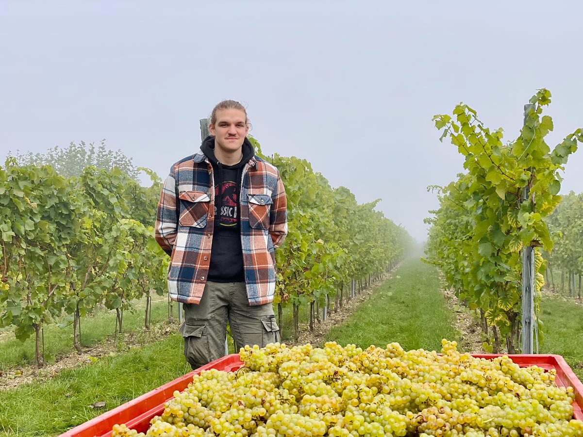 🍇 Notre caviste lillois William a participé aux vendanges chez nos partenaires Les 130, vignerons du Nord de la France.
Une belle occasion de découvrir leur travail et de suivre de près la récolte 2025.
Oui, il y a du vin dans le Nord, et on en est fiers 🍷.
Encore plus fiers de représenter ces vignerons passionnés dans nos caves.
👉 Leurs cuvées sont disponibles dans nos 3 boutiques Les Vins Gourmands : Lille, Lens et Valenciennes.
#les130 #lesvinsgourmands