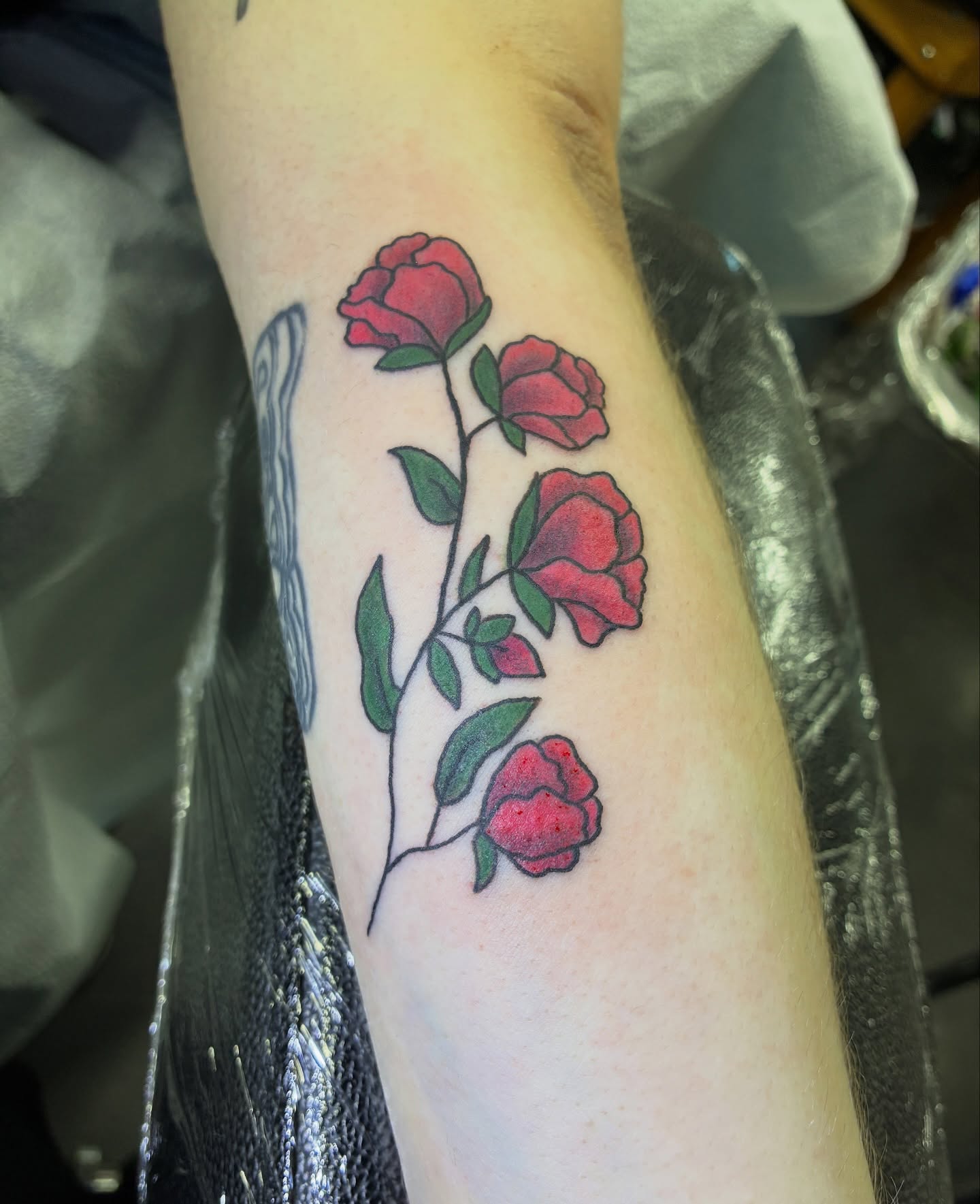 Full color flower stalk 🌸🌿 from my old apprentice flash!
Redrew it + switched up the colors to fit my client’s vibe ✨🎨
Love how this one turned out 💕
Done @rabidhandstattooseattle
#SeattleTattoo #tattooer #FlowerTattoo #ColorTattoo #CustomTattoos #TattooArtist #TattooCommunity #SeattleCreatives #TattooLove #FlashTattoo