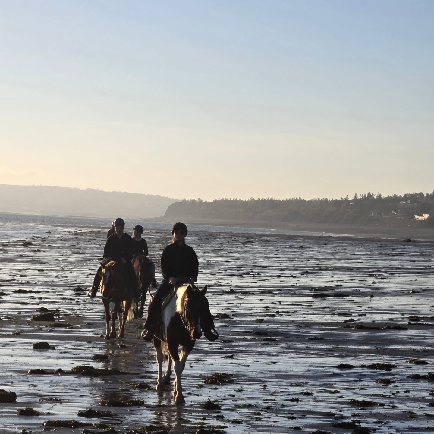 Surreal is the only way to describe
low tide at sunset on the Bay Of Fundy. #sunset #lowtide #bayoffundy #surreal #horsebackridingonthebeach #cliffsoffundygeopark #explorenovascotia #spiritreinsranch