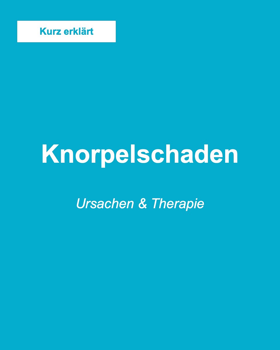 Kurz erklärt - Knorpeschaden am@Knie
##knie #knieverletzung #knieschmerzen #arthroskopie #kreuzband #knieexperte #gelenke #operation #orthopaedie #knieoperation #profniemeyer #reha #rehabilitation #physio #arthrose #gonarthrose #meniskus #meniskusriss