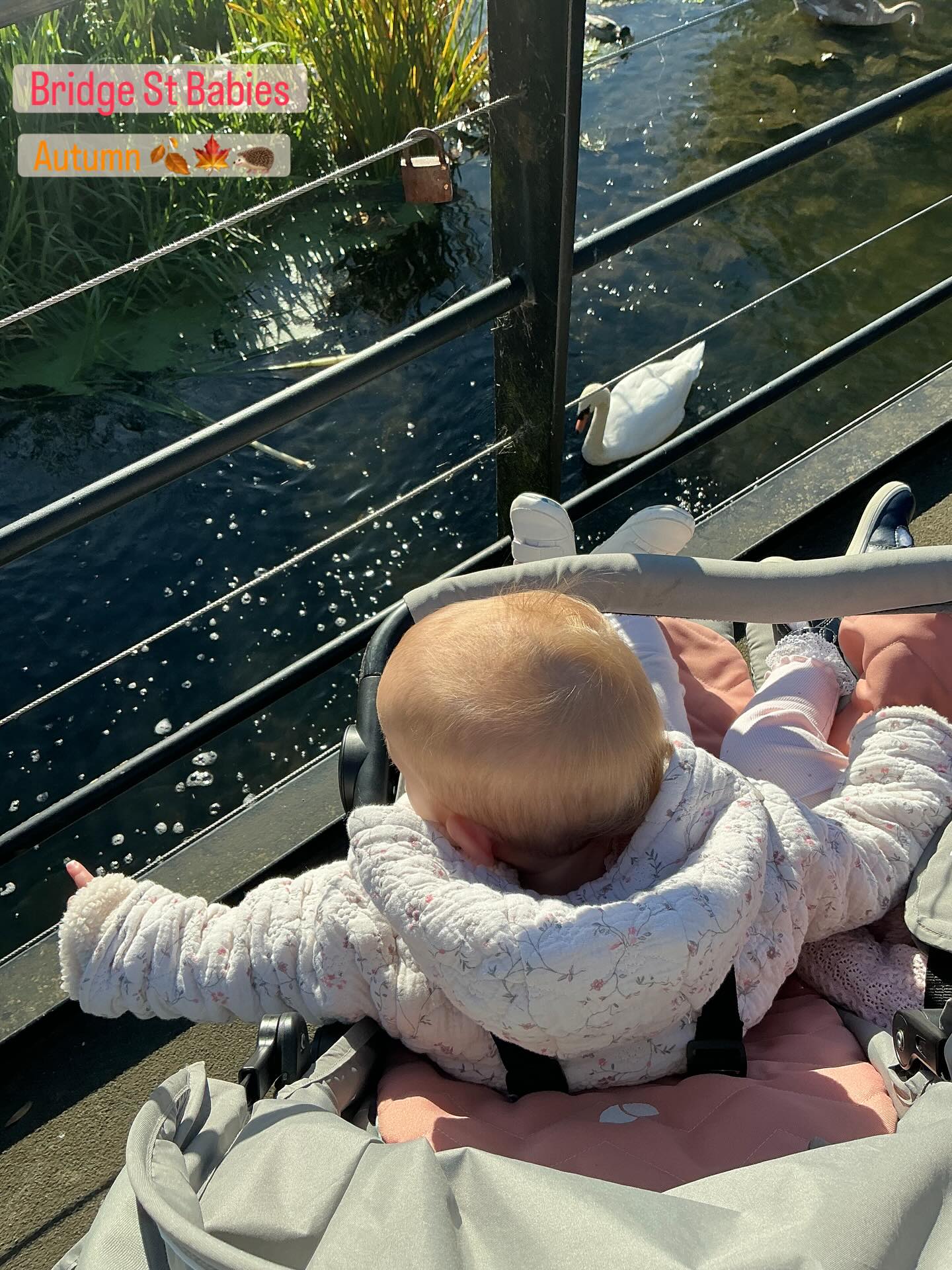 Our Babies at Bridge Street are enjoying their Autumn so far 🍁🍂🦔
Exploring their senses with local walks to Autumn themed tuft trays.
