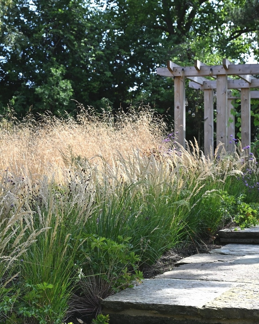 Fantastic to receive these photos from our contractor @mcnaughtons_landscaping from one of our East Sussex projects in its first year of planting!
What was once an expanse of lawn and paving (swipe to the last 4 slides for some before shots), has been transformed into a diverse garden that is sensitive to the wider landscape, whilst also introducing new resilient planting that is supportive of native species.
Nearly all the hard landscaping materials have been reused from site. There was a lot there already and the client was very keen to reuse as much as possible. We’ve incorporated much of the original brick pavers and all of the existing York stone in various formats to make a series of distinct spaces complimenting the Arts & Crafts house renovation and new extension.
Despite the challenging soil conditions which consist of typical heavy Sussex clay with sandstone bedrock the garden is settling in really well. This first year of establishment is crucial but all is good as the garden is in the safe hands of the very talented team at @mcnaughtons_landscaping
⸻
ABOUT: Joe Perkins Design is a multi-award-winning landscape design consultancy, creating innovative outdoor spaces that celebrate the environment, wildlife, and biodiversity. Working across the UK and internationally, we partner with clients who share our passion for sustainable and visionary design. Discover more about our work at: www.joeperkinsdesign.com