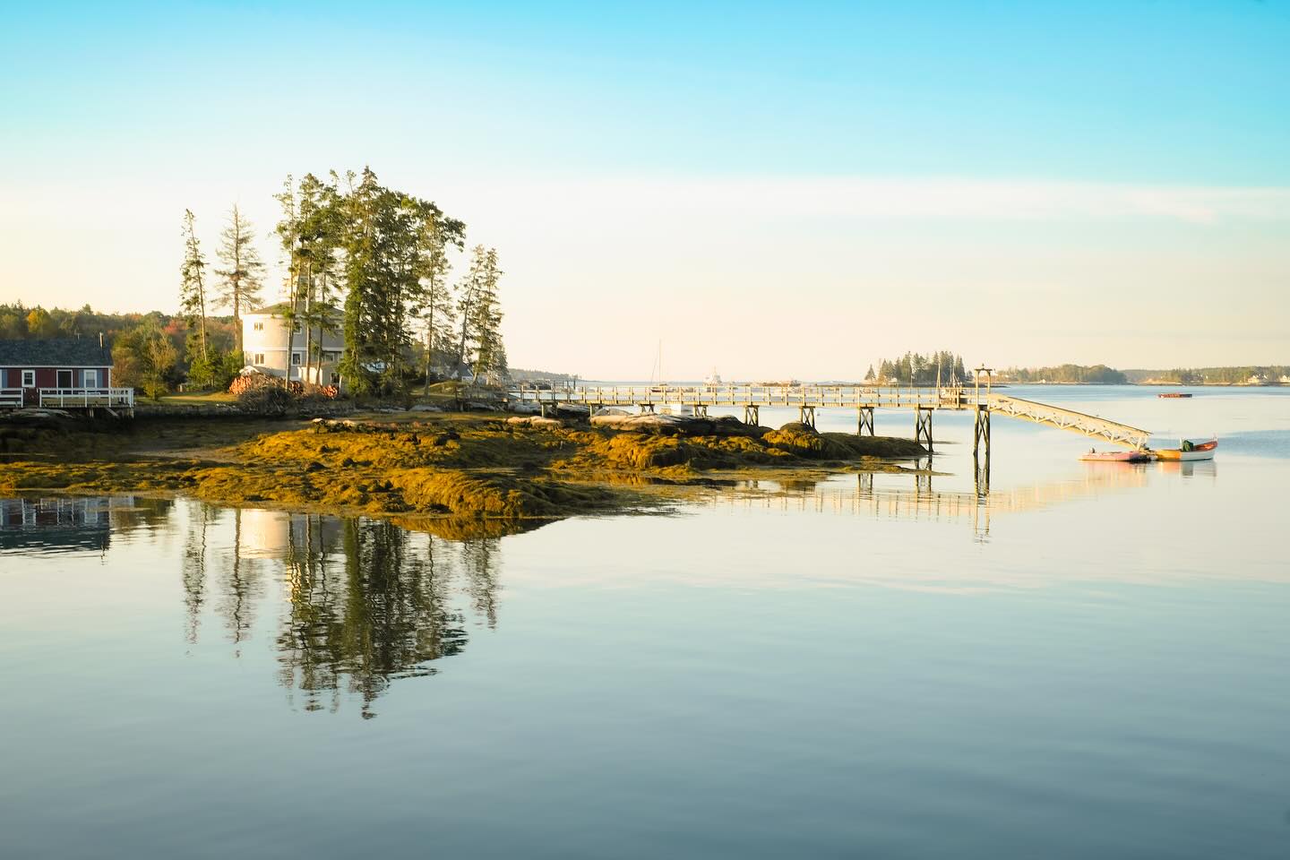 Boothbay, Maine Part 3
Fuji XT2 16mm & 35mm
#maine #boothbayharbor #boothbay #landscape #landscape_captures #landscapes #landscape_lovers #outdoors #outdoor #nature #naturephotography #ocean #sea #seaside #coast #coastline #coastal #east #eastcoast #beach #autumn #autumnvibes🍁 #fall #fallcolors #leaves #fujifilm #fuji #fujixt2 #16mm #35mm