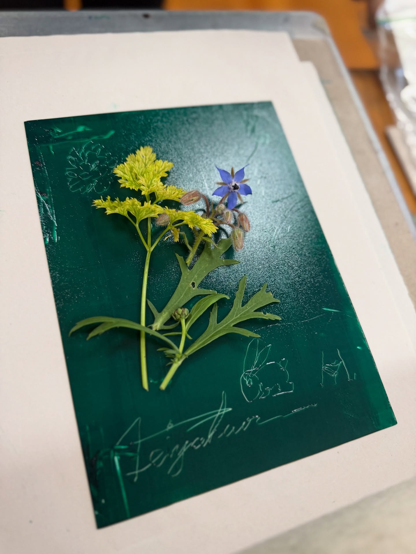 🌿✨ A wonderful day in the garden with Cork Printmakers — creating art in a beautiful, inspiring environment! 🎨💚
We enjoyed connecting with nature, using flowers and tree leaves to make creative prints, and sharing ideas in a peaceful, green space. 🍃🌸
It’s amazing how art and nature come together to inspire creativity and community. 🌼🤝
#CorkPrintmakers #CreativeCommunity #ArtInNature #Sustainability #Cork #GardenArt