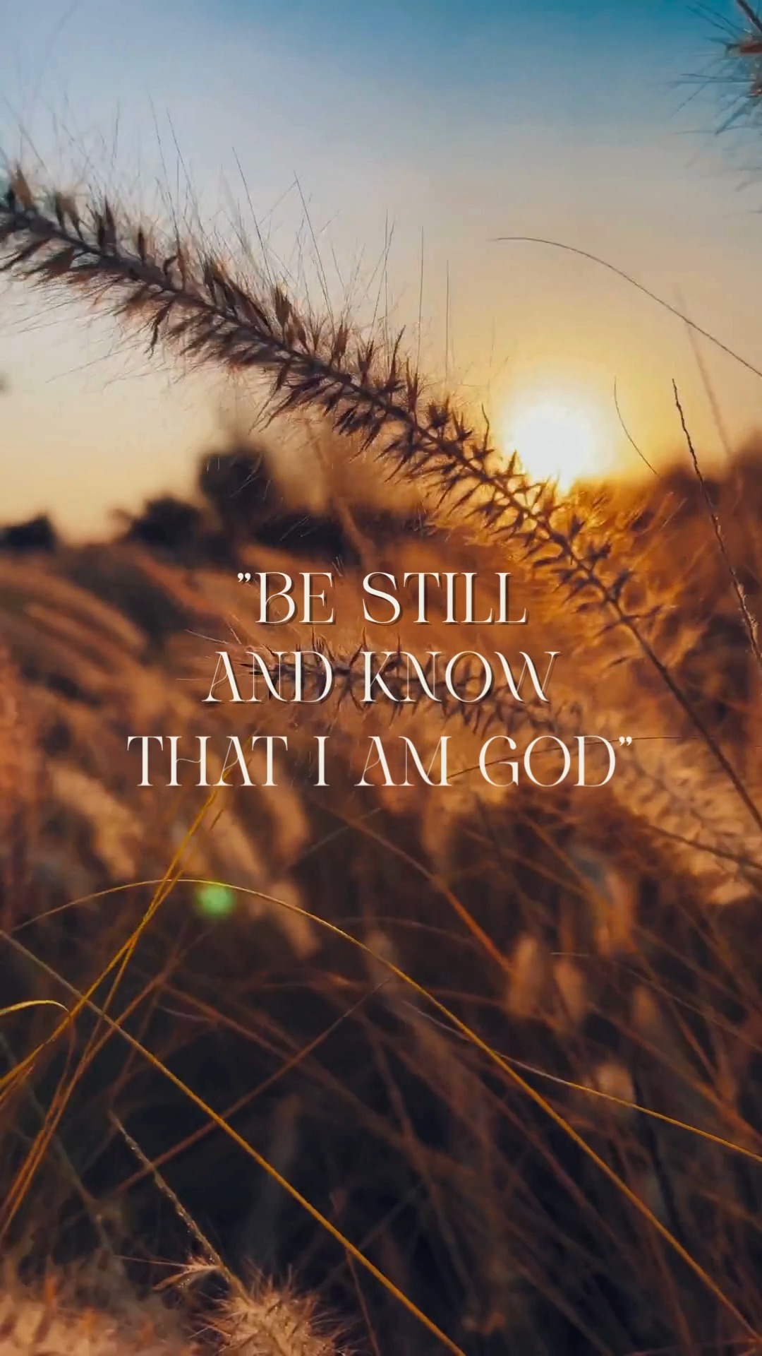 There is beauty in the waiting.
There is purpose in the quiet.
When God calls us to stillness, He is not withholding fruit — He’s deepening our roots.
“Be still, and know that I am God.” — Psalm 46:10
This season is not a pause. It’s preparation.
✧ Read our latest thoughts: The Season of Stillness — now live Under the Fig Tree. https://www.salted-fig.com/post/the-season-of-stillness
#SaltedFig #JesusIsKing #ChristianApparel #FaithOverFear #BeStill #ChristianCreative #KingdomWork #SacredRootsFaithfulFruit #AbideInHim