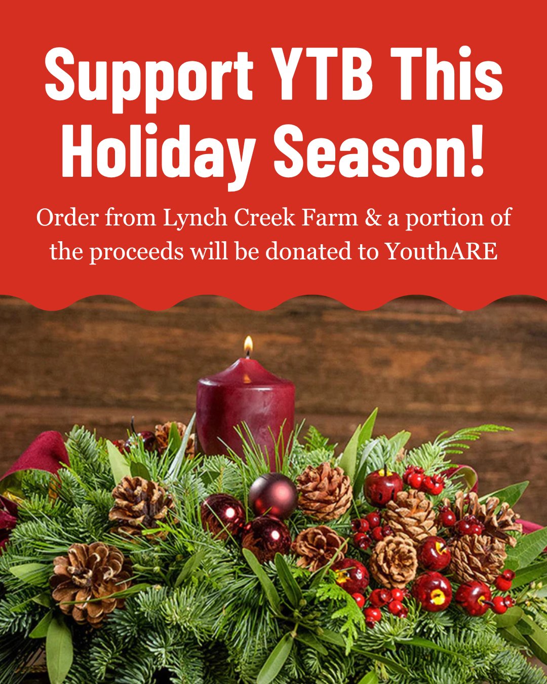 🎄 Get into the holiday spirit and give back! When you order from Lynch Creek Farm, a portion of your purchase will support YouthARE — helping youth develop leadership, digital literacy, and global connections.
From wreaths and centerpieces to garlands and trees, your holiday decor can make a difference.
✨ Order now: https://lynchcreekfundraising.com/campaigns/551114