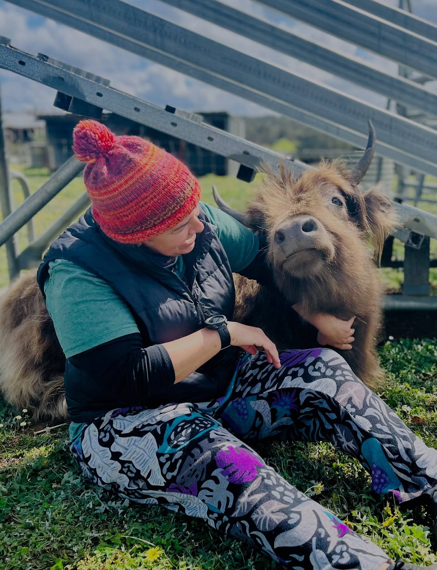 Our guests really were relaxed on their recent stay… they even had a little rest in the paddocks with our ‘Winnie the Moo’ 🐮❤️
#wildinourheart #highlandcow #fluffycows #westernaustralia #fyp #southwestwa #farmstays #farmstay