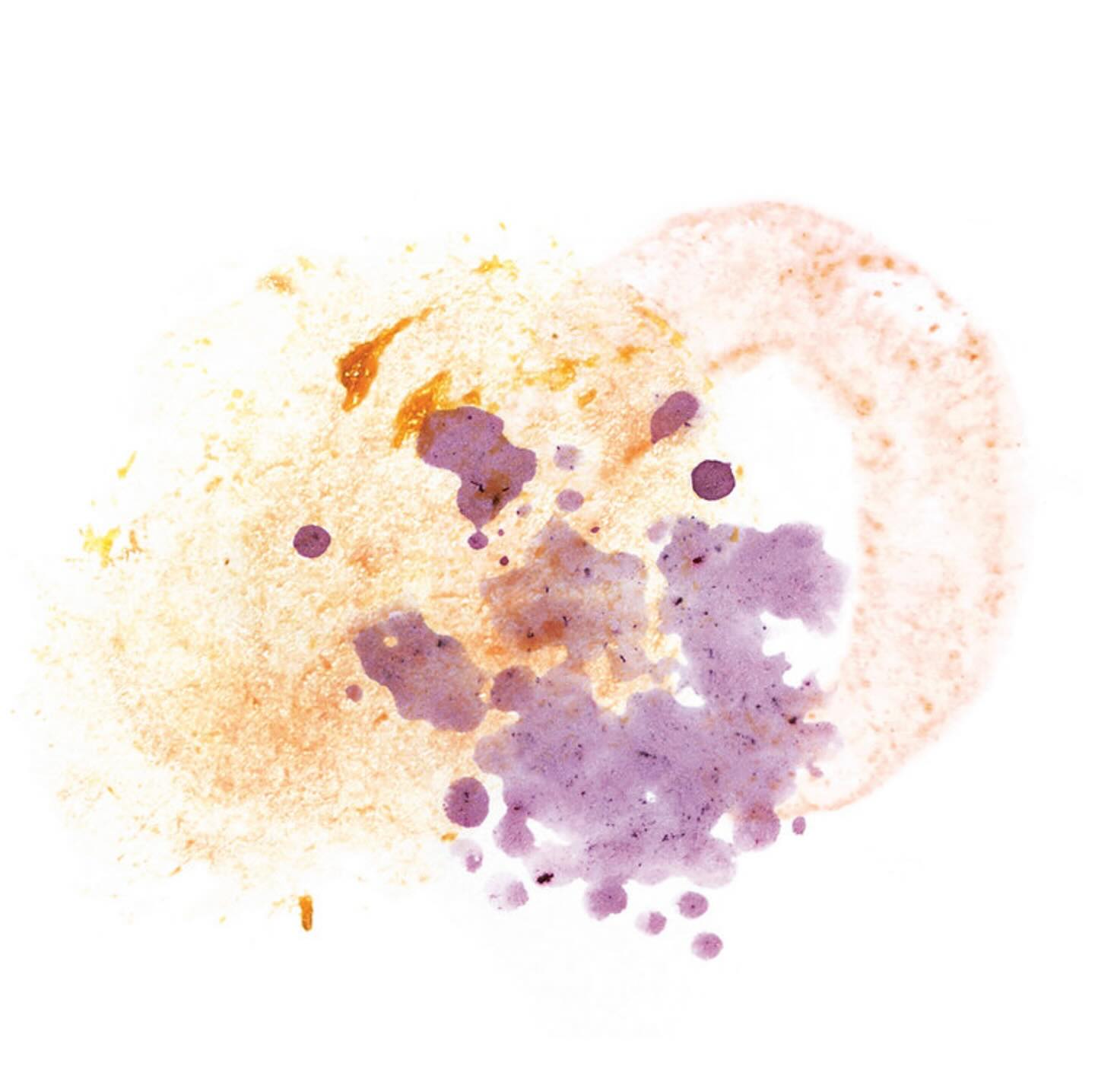 New Harvest:
Costa Rica Volcan Azul SL28 anarobic natural
In 2023 we had an SL28 natural from Alejo and adored it. From the harvest 2024 and now in 2025 we chose this very surprising SL28 anaerobic natural, the flavor profile is quite similar as last year – super juicy, beautiful body, complex but still very balanced with a hint of interesting fermentation notes. Honestly one of the most fantastic coffees we ever had. Congratulations @alejocastrok from @volcan.azul for this masterpiece 💜
TASTING NOTES Plum, rum, blackberry
CULTIVAR SL28
PRODUCER Volcan Azul
COUNTRY Costa Rica
PROCESS Anaerobic Natural
CONTENT 200 gr