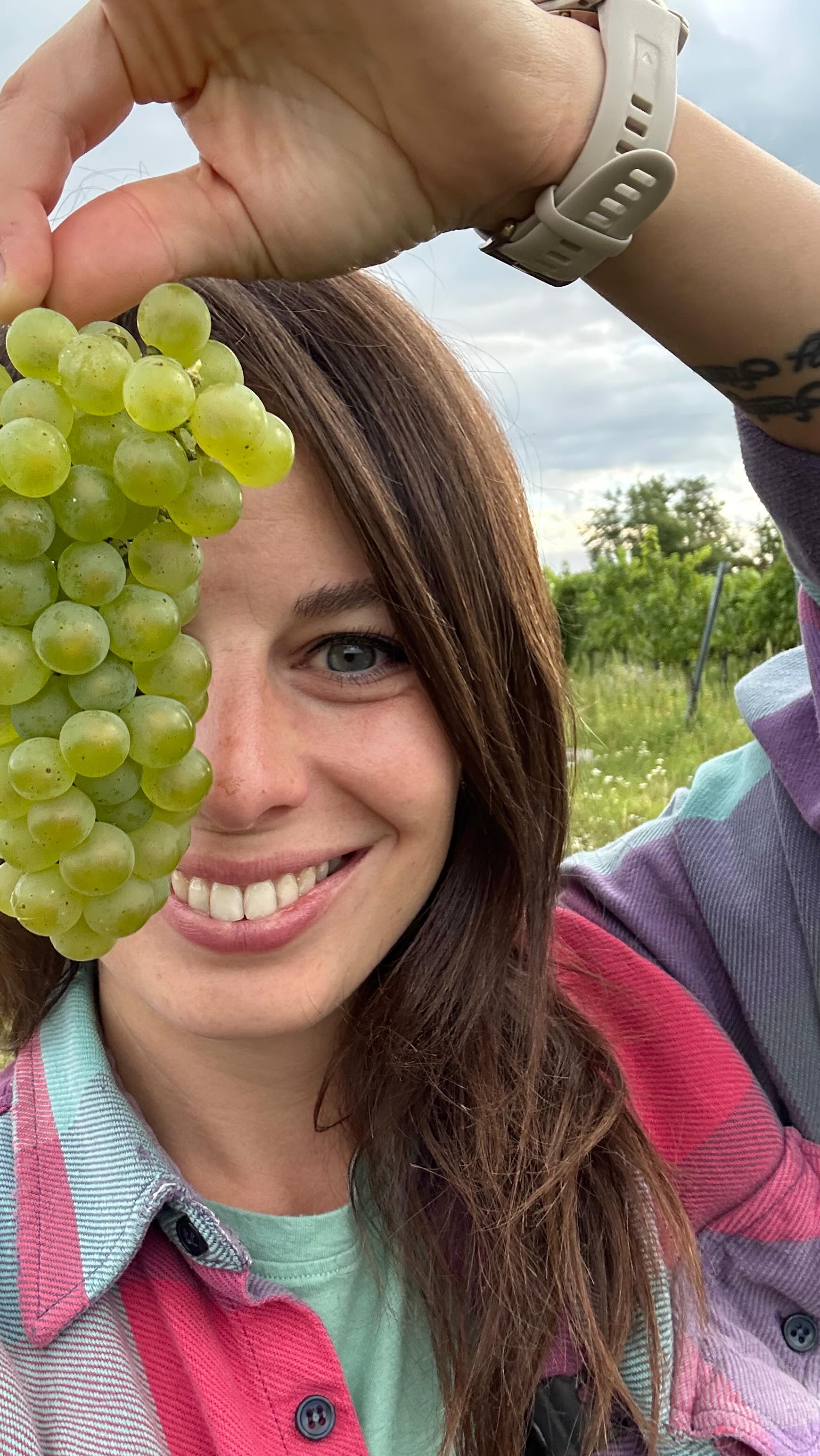 Harvest 2025 was different than the others because the situation might‘ve changed a little, but the bubbles are going on and on and ooooon! 🍾🥳🍇 #huglsprudel #harvest #sekt #bubblesagainsttroubles or #bubblesandtroubles #kamptal #austrianwine