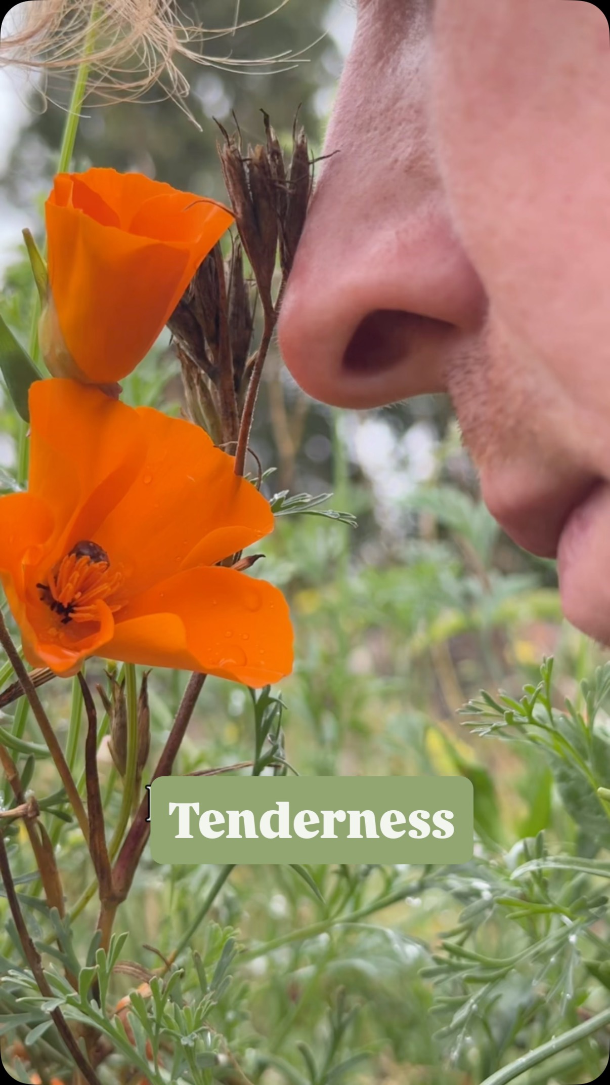 Follow @mindinnature for wholesome goodness. It’s easy to forget to be tender in such a hectic world. John Berger’s words here remind us of the need for intentional tenderness, and the freedom that comes from it.
#nature #johnberger #tender #slow #mindful