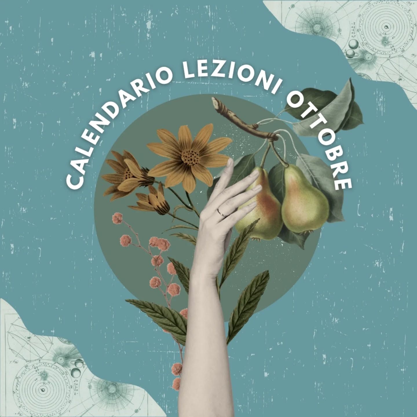 Dal lunedì al sabato, tutti gli orari per praticare con me in questo autunno 🍂
Quale orario preferisci?
• • •
Prenota una lezione cliccando sul link in bio, scrivendo in DM o su WhatsApp al 3491119852
Ti aspetto!