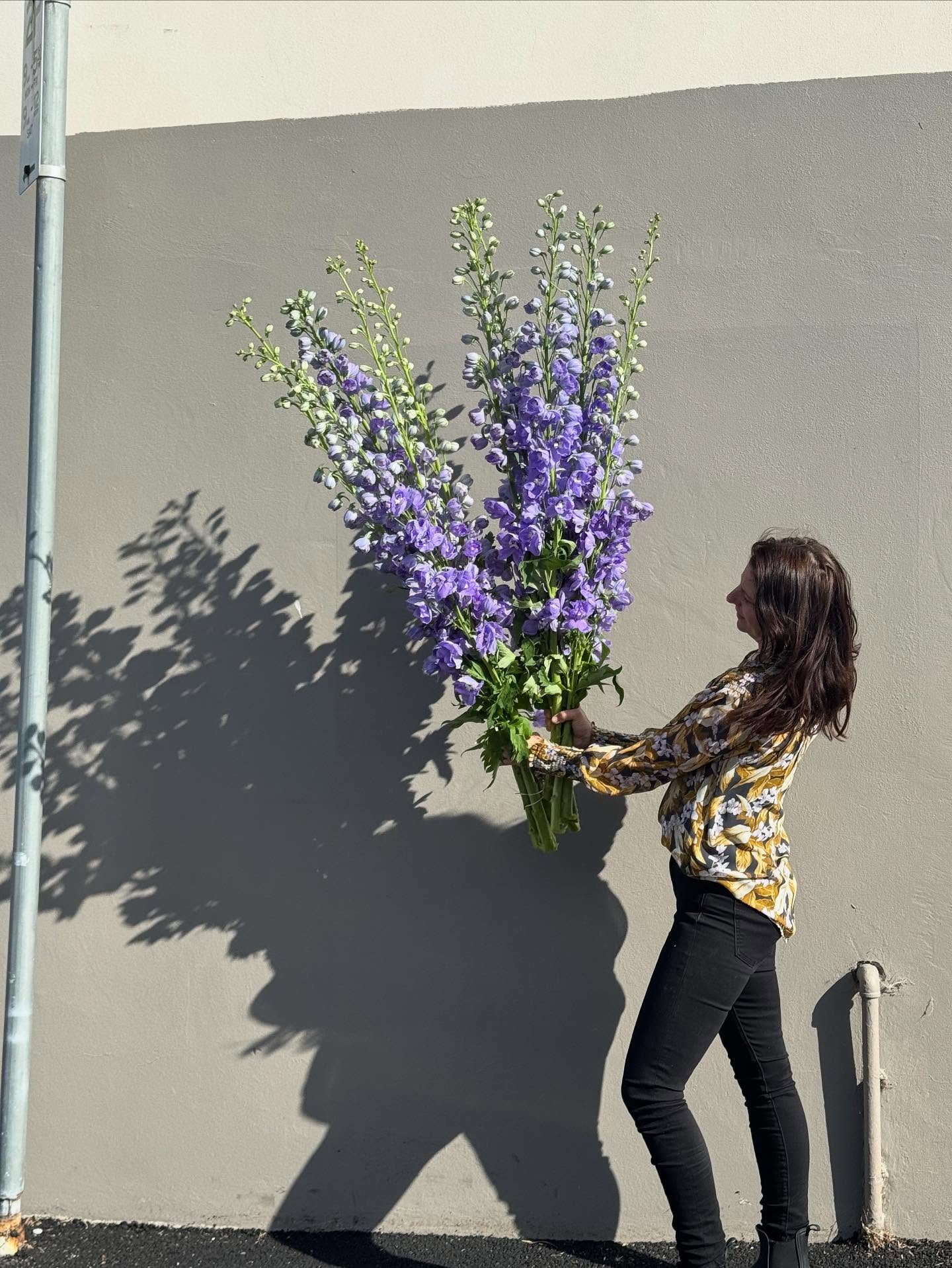 Spring is doing it’s thing! Pop in store to see more of the spring things!