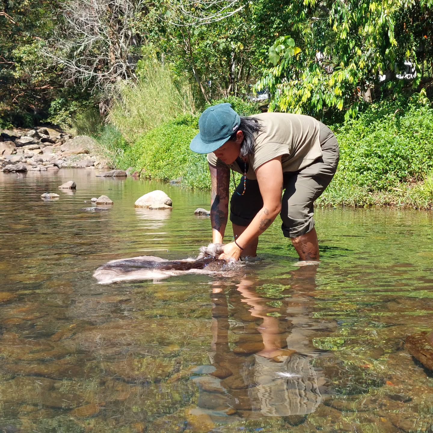 The Australian courses started off with a bang!! Here are a selection of pictures from the Tanning and Bone Working course in the Numinbah Valley.
We were so lucky to be working at a brilliant creek bottom site run by @grounded.permaculture. If you get the chance, the creek bottom is listed on hip camp.....and is a beautiful place to spend a few days. The swimming hole is top-notch!
We had brilliant weather, and the students turned out some fantastic bone tools and great skins! Thanks so much to @sacred_bowl for hosting the course and to the students for putting in the effort! See ya next year!
#braintanning #buckskin #bonework #primativetechnology #primativeskills #ancestralskills #rewilding #queensland #Australia #internationalinstructorlife #ancestralskillsacademic #lowtech