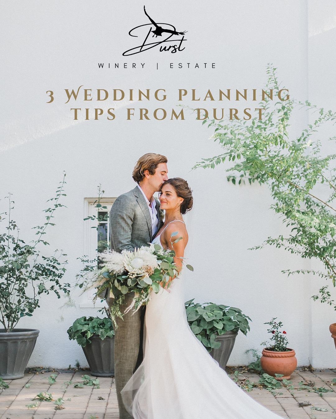 Planning your dream day? Here are three thoughtful tips to make your wedding smoother, more beautiful, and stress-free from start to finish.
Because when every detail falls into place, all that’s left is to say “I do.” 💐
#durstwinery #durstwineryandestate #durstwedding #lodiweddings #acampoweddings #weddings #norcalweddings #visitlodi