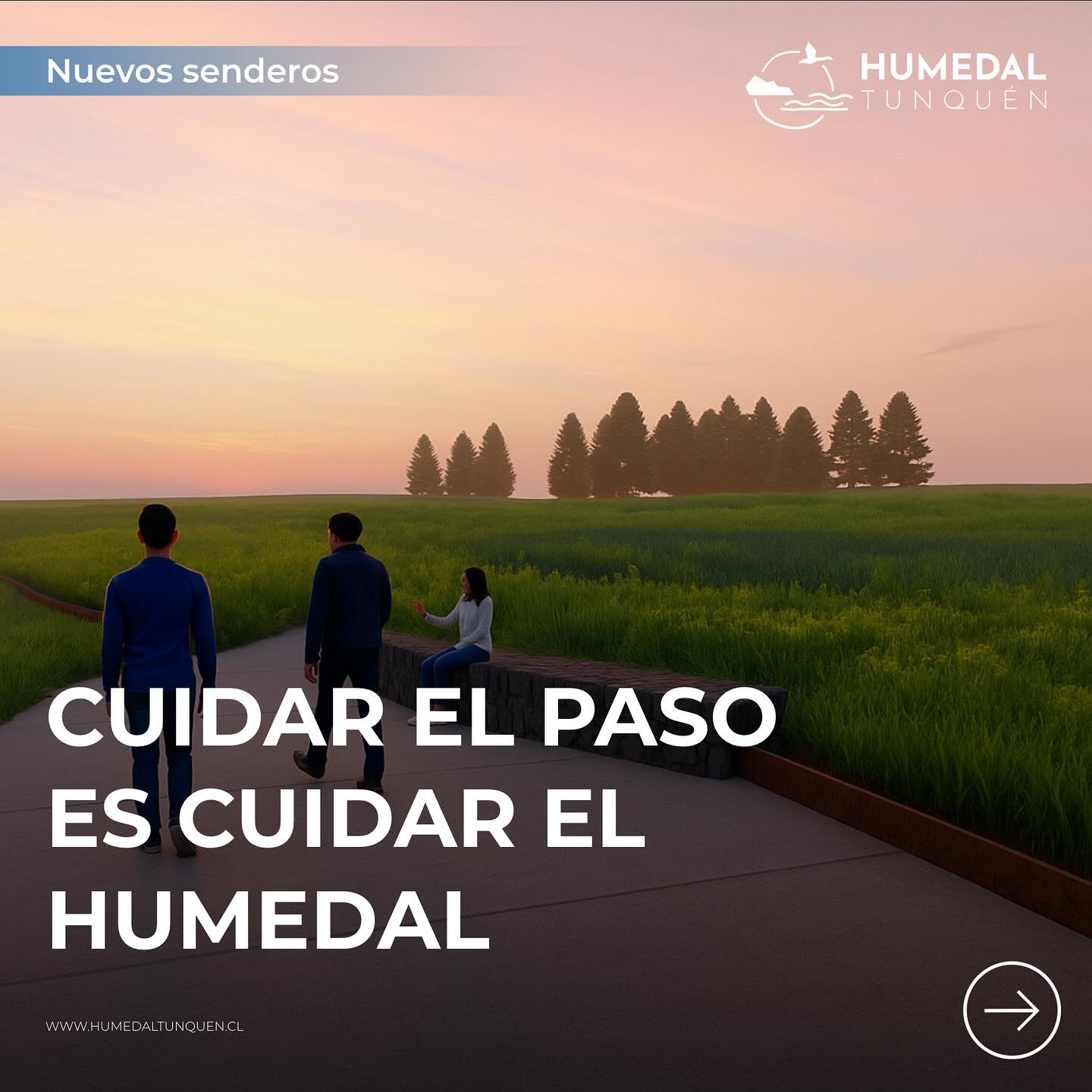 🌾 Cuidar el paso también es cuidar el humedal
En el Santuario de la Naturaleza Humedal de Tunquén, existen antiguos caminos que se formaron por el paso histórico de animales de pastoreo y por el uso agrícola que tuvo gran parte del terreno antes de su protección.
Estos senderos, hoy inhabilitados, están siendo restaurados para devolverle vida al suelo y permitir la recuperación de su vegetación nativa.
Por eso, hemos diseñado nuevos caminos orientados con una obra pétrea y vegetal —una guía natural hecha de piedras y durmientes— que marca el recorrido autorizado para los visitantes. 🌿🪨
Te pedimos recorrer solo por los senderos habilitados y respetar las zonas en restauración.
Cada paso responsable ayuda a que el humedal siga siendo un refugio para la vida silvestre y un lugar de aprendizaje para todos. 💧🐦
📸: renders
#HumedalDeTunquén #SantuarioDeLaNaturaleza #FundaciónSaraHernández #RestauraciónEcológica #CuidemosElHumedal #CaminosQueCuidan #EducaciónAmbiental #renders