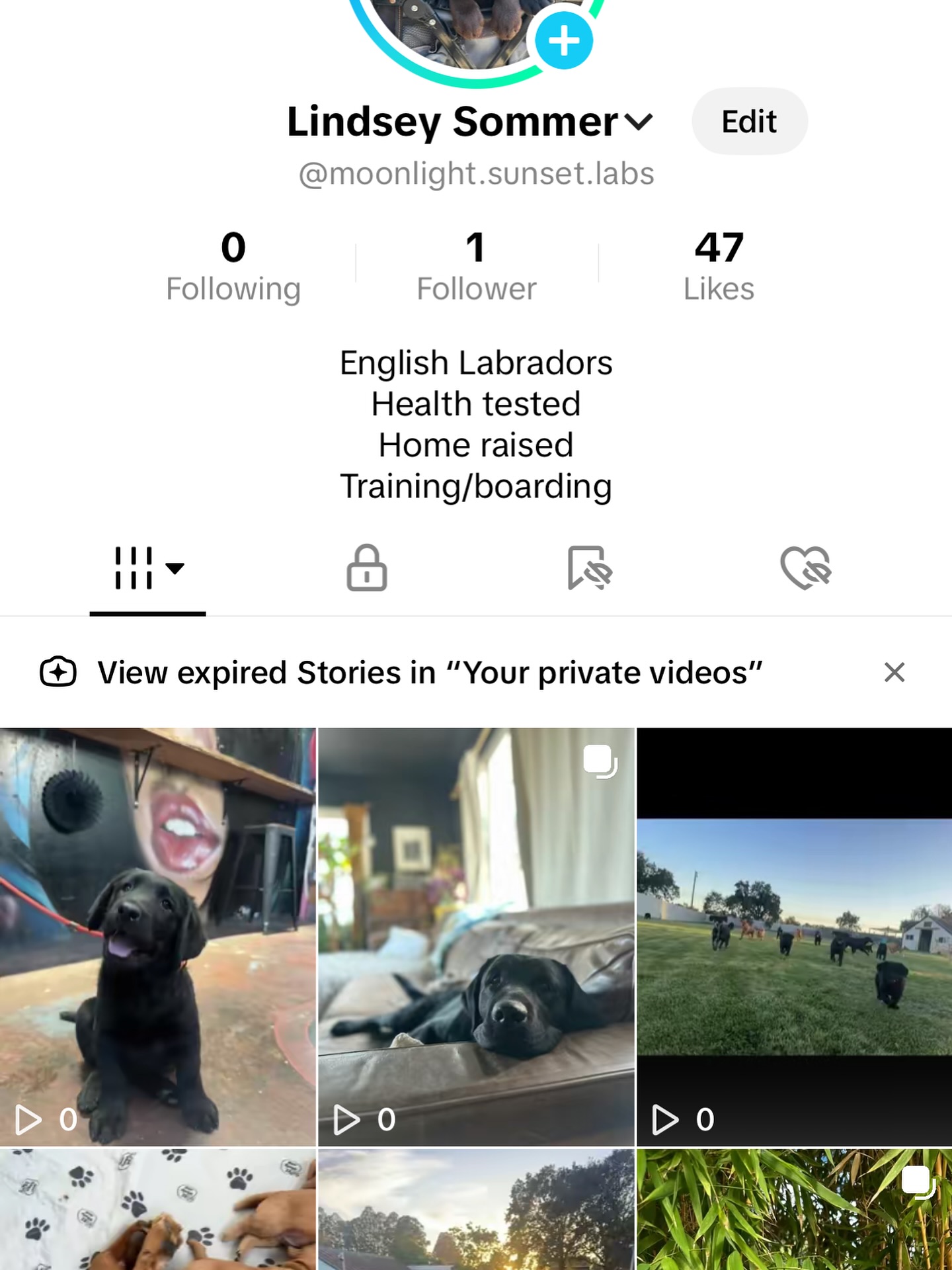 I have a REAL TikTok account. As much as I hate TT, I am trying all efforts to mitigate this person stealing my content and posting to TikTok. All reporting of their page and copyright infringement reports Iāve submitted have done nothing. TikTok users steal IG and FB content because I assume TikTok doesnāt go and check content from other platformsā¦.so from now on all of my content will first be posted to TikTok. Uggghhhhā¦. So if you feel like following my, here is my legit account. I have 1 follower as of right now. š
And this scammer has of course blocked me, so I will have to figure out other avenues to monitor their account and continue to report their content violationsā¦.
Also, go and check out the podcast Scam Factory. Itās pretty crazy, there is a giant human trafficking industry where people are sent to random countries against their will and forced to scam people. This world really does suck sometimes, or a lot of the times, and Iām just very grateful to be in my small corner of the world with tall fences and a bunch of dogsā¦
.
.
.
.
.
.
.
.
#dontscam #dontbescammed