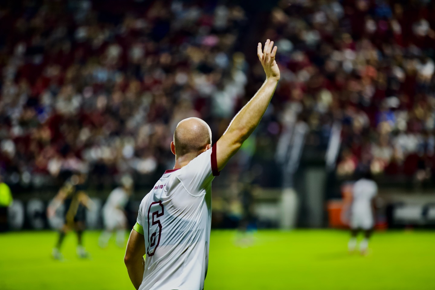 Some highlights from the @gamecockwsoccer game vs @ucf.msoccer !! #soccer #photography