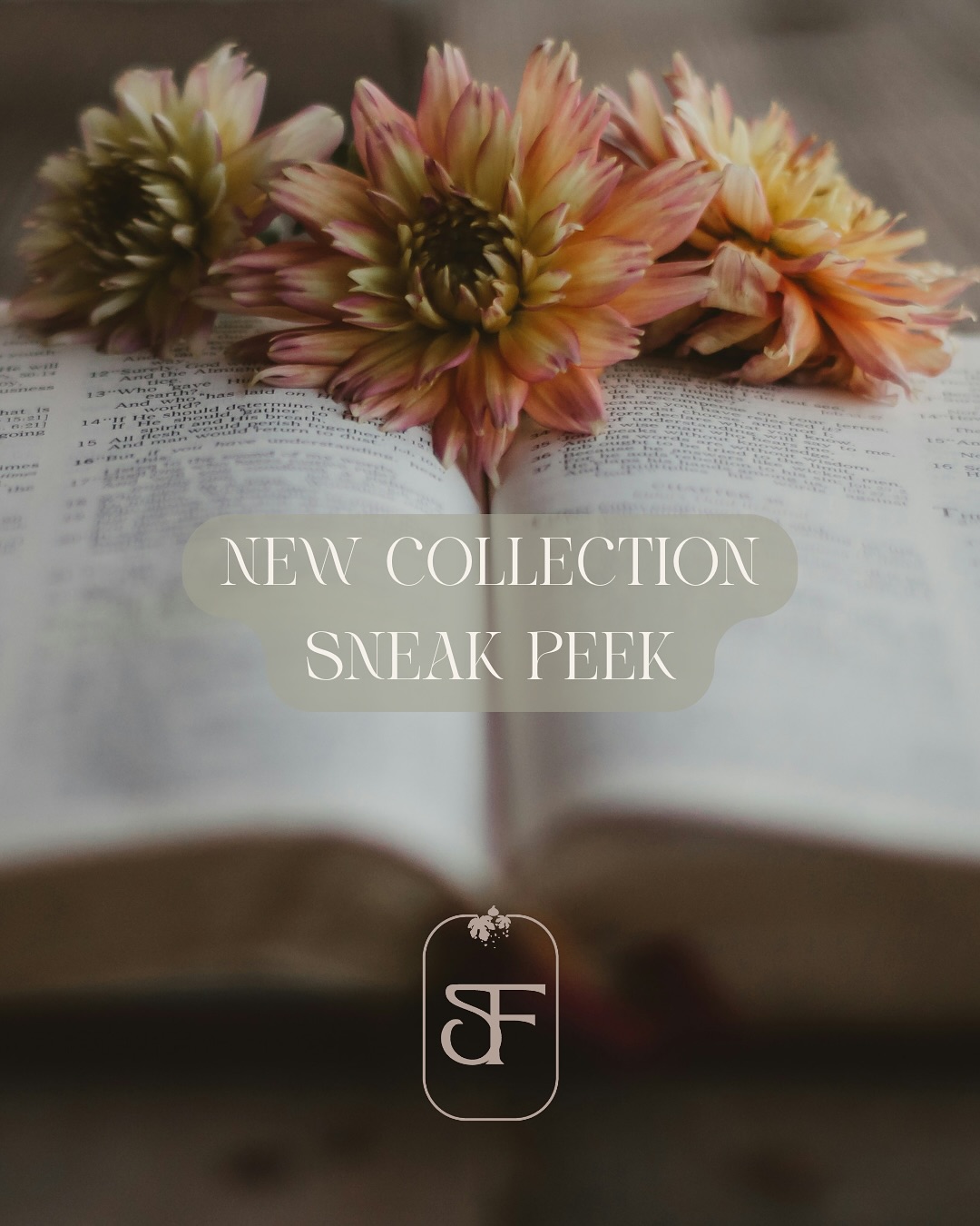 I talked, Kyle listened - Hi friends! Emily here, the sweeter half of salted fig! 😉 I am barging onto the SF insta to announce something fun coming! Though I love the styles Kyle has dreamed up for the launch collection, I wanted some girly pop shirts thrown in there, too! Here is a sneak peek of some of our newest shirts that we created together that are coming soon! I say SOON because I know they will be out ASAP as I want them for myself and I, like Kyle, am at times impatient 😂 On a serious note, we love and thank you all so much for the support we have received on the journey to fulfill this years’ long dream Kyle has had.
Side note- this has been my jam recently playing on repeat so what else would I pick as my music? Listen and enjoy, see y’all soon! 🫶
#SaltedFig #SacredRootsFaithfulFruit #FaithApparel #ChristianBrand #ChristianClothing #FaithBasedFashion #ChristianApparel #ScriptureInspired