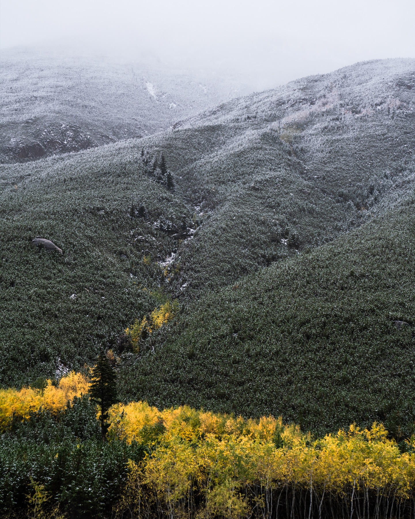 Fall barely had a chance to say hello before winter swept across the Beartooth Mountains. ❄️
Captured at East Rosebud Lake, these new pieces reflect that fleeting shift between seasons. Both vertical and horizontal options are available to help you create your own cozy mountain escape.
Swipe to see how they look inside different spaces. Then DM me a photo of your wall, and I’ll create a custom mockup so you can see how your favorite piece fits in your home. 🌲
#montanamoment #landscapephotographer #homedecorating