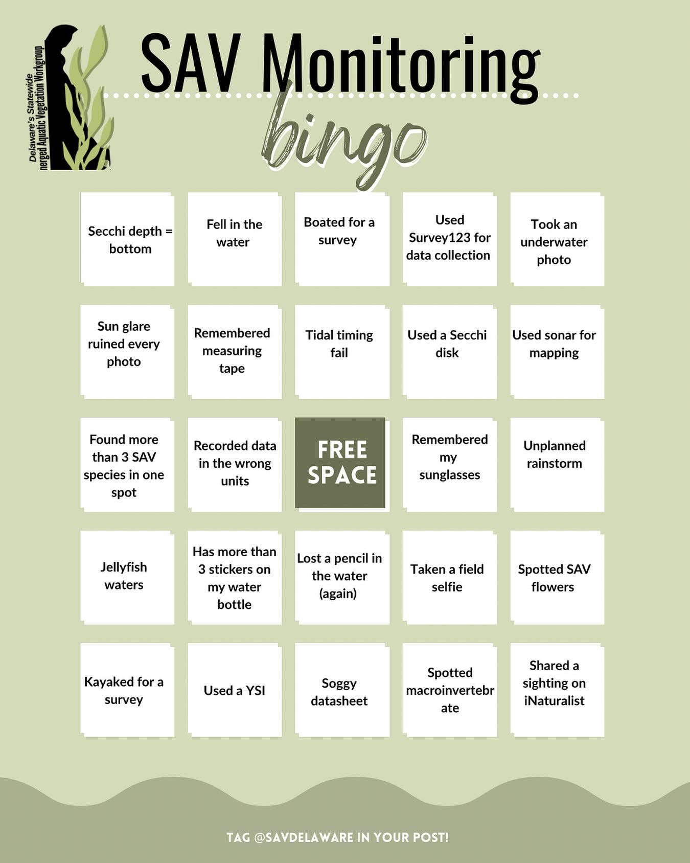 How many squares can you check off this SAV monitoring bingo card? 👀
Whether you’ve been knee-deep in waders looking for SAV or spend lots of time exploring waterways (recreationally OR other water-based field work), this is your chance to see how your experience stacks up!
Screenshot, mark your bingo, and tag us to show your field day scorecard 🌊
Want to get involve in SAV monitoring in Delaware? Volunteer sign-ups for SAV Seekers are coming soon — stay tuned for details at DelawareSAV.org/volunteer!
#DelawareSAV #SAVSeekers #UnderwaterGrasses #FieldworkBingo #CitizenScience #CommunityScience #DelawareWaters #Bingo