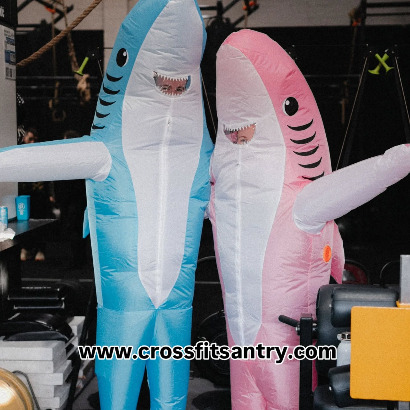 🔙 THROWBACK🔙
Check out some of the AMAZING costumes from our 2024 Monster Mash 👻
This day three weeks we'll be getting set to kick off Monster Mash 2025 - who's excited? 🥳
Sunday October 26th - will you be joining us ?
_________________________________________
Are you ready to try the Tribe?
Drop us a DM today using the word "FREE TRIAL"
We have one great community across two great locations
📍 CFD TRIBE, DRUMCONDRA, D03 RH36
📍 CrossFit Santry, SANTRY, D09 X63C
#CFS #CFDTribe #Party #DressUp #thetribe #thecoachinggym #santry #Drumcondra #dublin