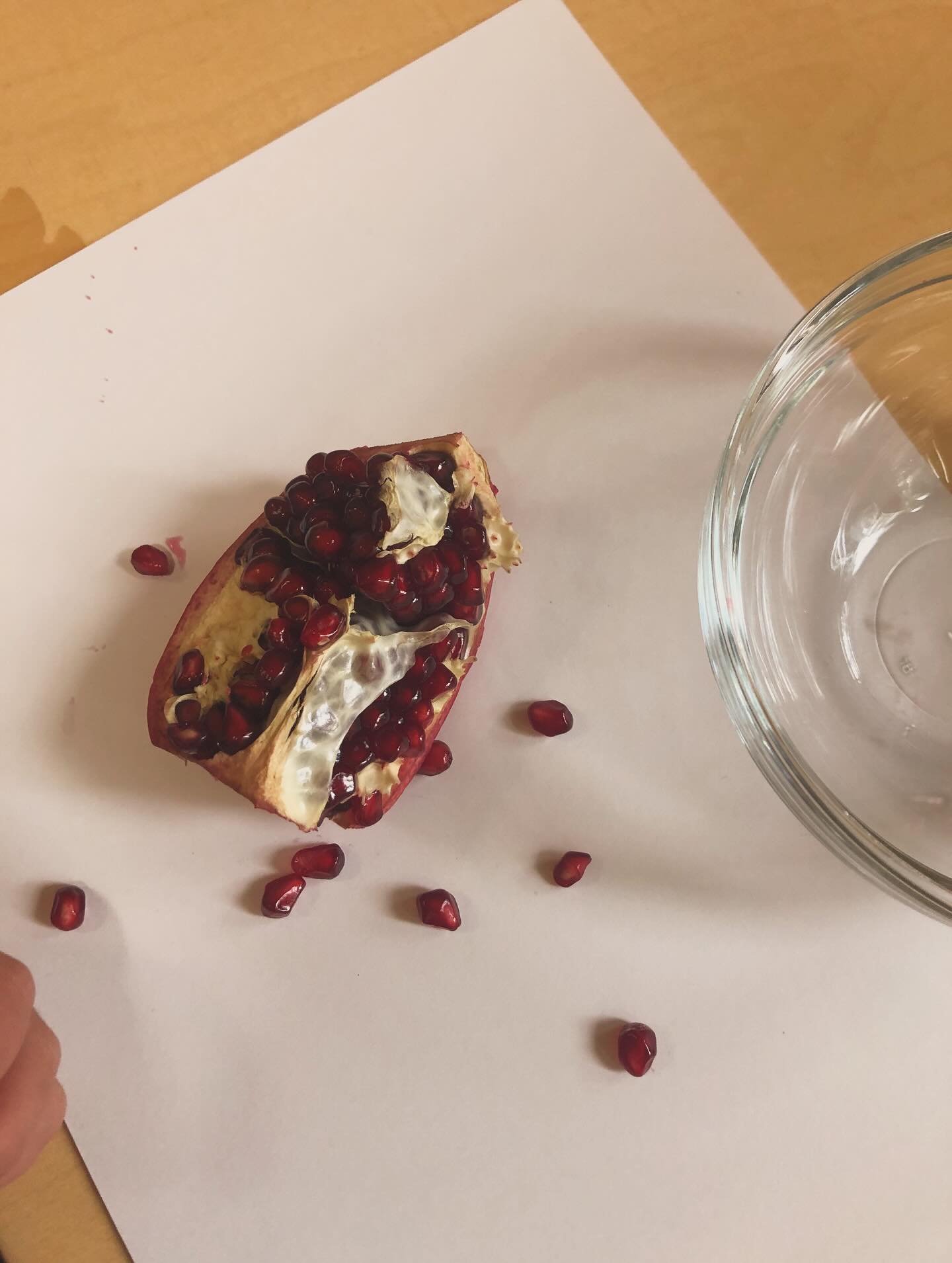 Continua l’esplorazione dell’autunno e di quello che lo caratterizza.🍁🍂
I bambini e le bambine del nido hanno scoperto il melograno; é stato manipolato, sgranato, assaggiato e schiacciato!
#nidodinfanzia #motricitàfine