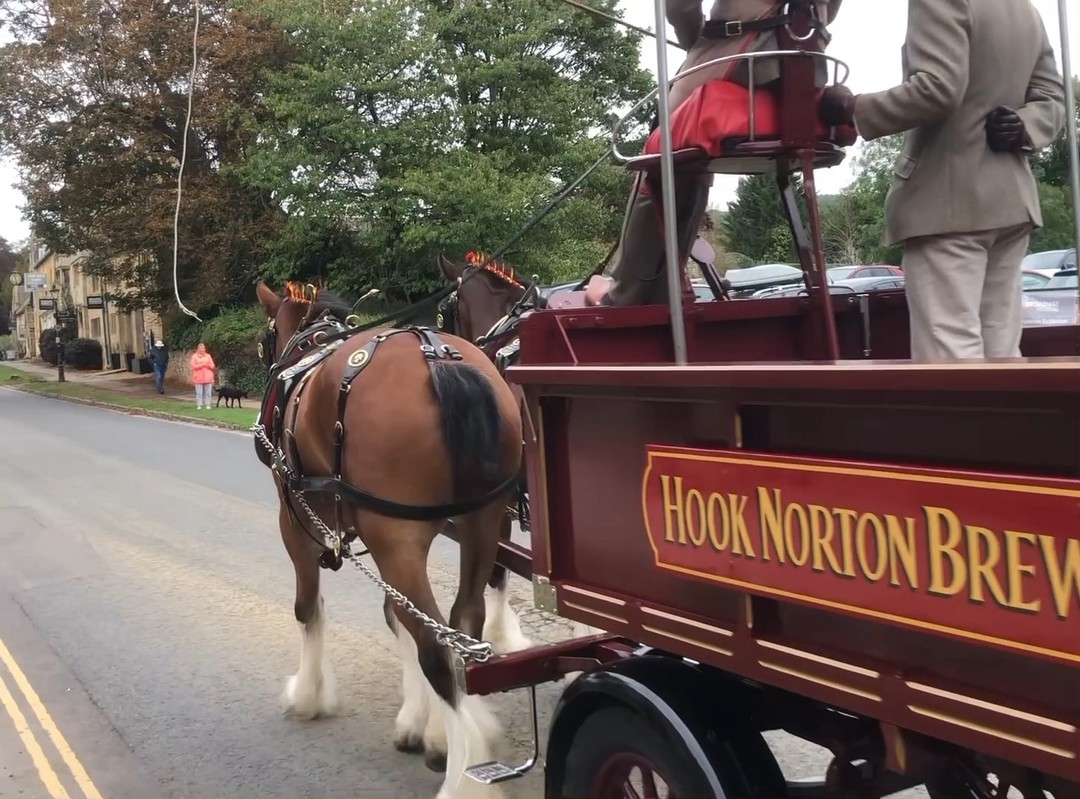 Broadway welcomes Hook Norton brewery's wonderful horse-drawn dray.
#offbeatcotswolds #bluebadgeguide #bluebadgeguides
#britainsbestguides #Cotswolds #thecotswolds
#inthecotswolds #cotswoldcountry #Cotswolds_Culture #lovethecotswolds
#discoverthecotswolds #visitthecotswolds #discovercotswolds #cotswoldslife #cotswoldlife #thecotswolds #broadwaycotswolds #hookybrewery #heavyhorses
#your_cotswolds
#cotswolds #thecotswolds #cotswoldvillage #visitengland #englishvillage
#englishcountryside
#explore_britain_ #traveling_uk
#photosofengland #instabritain #europetravel