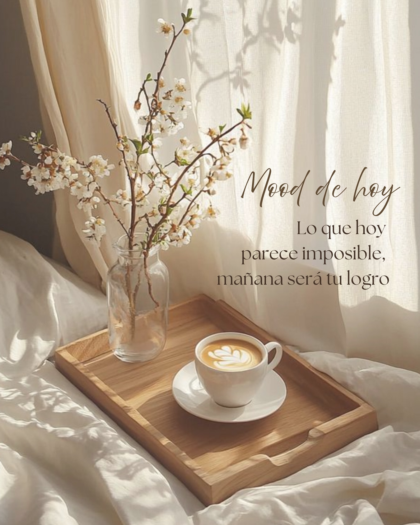 ✨5 tips prácticos para mantener la constancia en tu rutina de skincare:
1. Simplifica tu rutina
Comienza con lo básico: limpiador, hidratante y protector solar por la mañana.
Doble limpieza, activo de tratamiento y crema hidratante o nutritiva por la noche. Una rutina sencilla de 3-4 pasos es más fácil de mantener que una de 10 productos. Puedes ir añadiendo productos gradualmente una vez que el hábito esté consolidado. 🧴
2. Déjalo todo visible y accesible
Organiza tus productos en un lugar visible del baño o tu habitación. Cuando los ves, es más probable que los uses. Considera crear una pequeña “estación” de skincare que te invite a cuidarte. 🧖♀️
3. Vincúlalo a un hábito existente
Asocia tu rutina con algo que ya haces diariamente sin falta, como lavarte los dientes. Por ejemplo: “después de lavarme los dientes, me aplico mi sérum”. Esta técnica de “hábito ancla” funciona muy bien. 🪥
4. Establece recordatorios iniciales
Durante las primeras semanas, usa alarmas en tu teléfono o notas adhesivas como recordatorios gentiles. Una vez que se vuelva automático (generalmente después de 21-30 días), ya no los necesitarás. 🗒️
5. Celebra pequeños logros
Lleva un registro semanal de tu constancia. Marca cada día que completas tu rutina y date pequeñas recompensas cuando alcances hitos (una semana completa, un mes seguido). Ver tu progreso es muy motivador. ✅
Bonus: Recuerda que saltarte un día ocasional no arruina todo. Lo importante es retomar al día siguiente sin culpa. La perfección no es el objetivo, la consistencia sí lo es. 😉
⬇️ comenta si tienes algún tip para compartir 🤗
#skincaretips #routine #rutinafacial #constancia #skincare #skincareroutine #boutiquespacosmetics