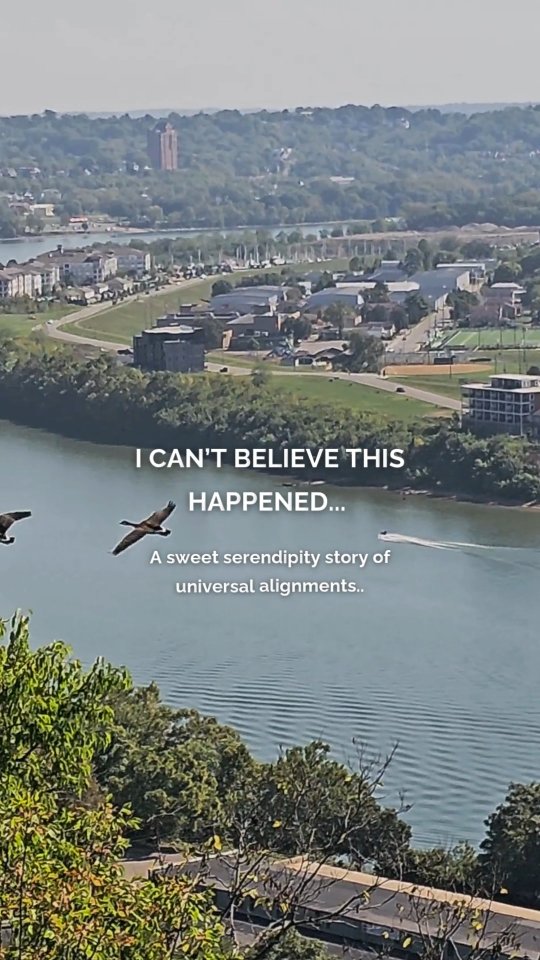 My boyfriend woke up me and said let's go for a walk.. We ended up exploring, which led to many beautiful moments!
We went to Eden Park just to soak in the beauty — the ripples in the water, the butterflies, the stillness.
💍And somehow, I ended up filming a proposal!! (My bf jokes that this couple couldn't have asked a better person to do this for them).
A couple from Bowling Green (we learned a lil bit about them but never got their names), asked if I could take their photo, and what he didn’t tell me right away was that he was about to propose. In that moment, he trusted me — a complete stranger — to capture one of the most meaningful moments of their lives.
👏🥂As soon as it happened, I felt this wave of joy rush through me. I kept filming and snapping photos (probably 50+), not because I had to, but because it filled me up.
The love, the surprise, the energy of it all reminded me of exactly what I needed to feel that day — connection, alignment, and presence.
My boyfriend sat nearby watching the whole thing unfold — he didn’t film me, and I kind of love that. We were all just in it, each playing our part in this little moment the universe so perfectly aligned.
The funny thing is, I had felt such a strong pull earlier to visit this exact spot — the Twin Lakes — even though we hadn’t planned to.
Later that day, I saw a mural downtown that read:
“Follow by faith, not by sight.”
And I smiled, because that’s exactly what I did.
Trust your intuition — it’s always guiding you to where you’re meant to be.
❤️Life is short. Love hard. Live in the moment. Capture it all.
#TrustTheJourney #FollowByFaith #DivineTiming #TheSoulAdventures #EllaVitaLife #ElevateExperiences #LoveStories #EdenPark #Serendipity #SoulfulLiving #CincinnatiMoments