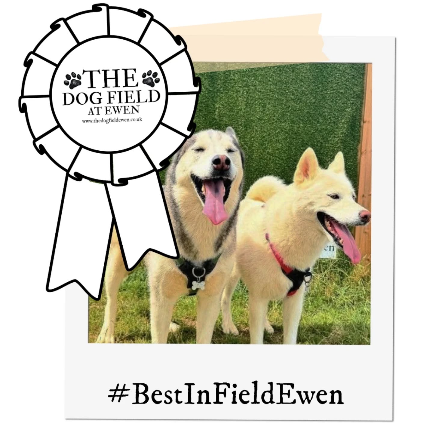 Our SEPTEMBER winner Steph Nicholson @stephnicholson22!!
A reminder that we will choose from all the photos entered, this one taken back July, remember those warm days and light evenings?
Please remember to use the hashtag AND tag us in the photo whether using Facebook or Instagram so that we can find your entries easily!
Congrats to our winner. The points will be coming you way.
#BestinFieldEwen