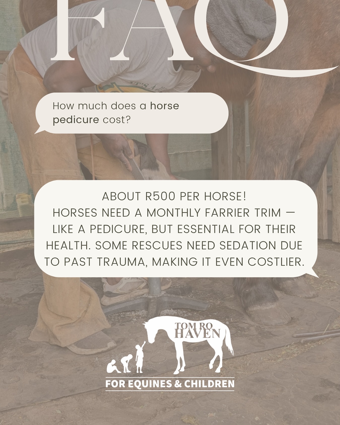 💅 How much does a horse pedicure cost?
About R500 per horse 🐴
Our horses need a farrier every month to trim their hooves — just like a pedicure, but far more essential! Some of our rescues even need sedation so the farrier can work safely, a reminder of the trauma they’ve survived 💔
Every “hooficure” keeps them healthy, comfortable, and pain-free.
If you’d like to help, you can sponsor a farrier visit or donate any amount that fits your pocket 💚
#TomRoHaven #HorseRescue #RescueRehabRehome #HorseCare #FarrierDay #SponsorAHorse #DonateToday #ForTheLoveOfHorses