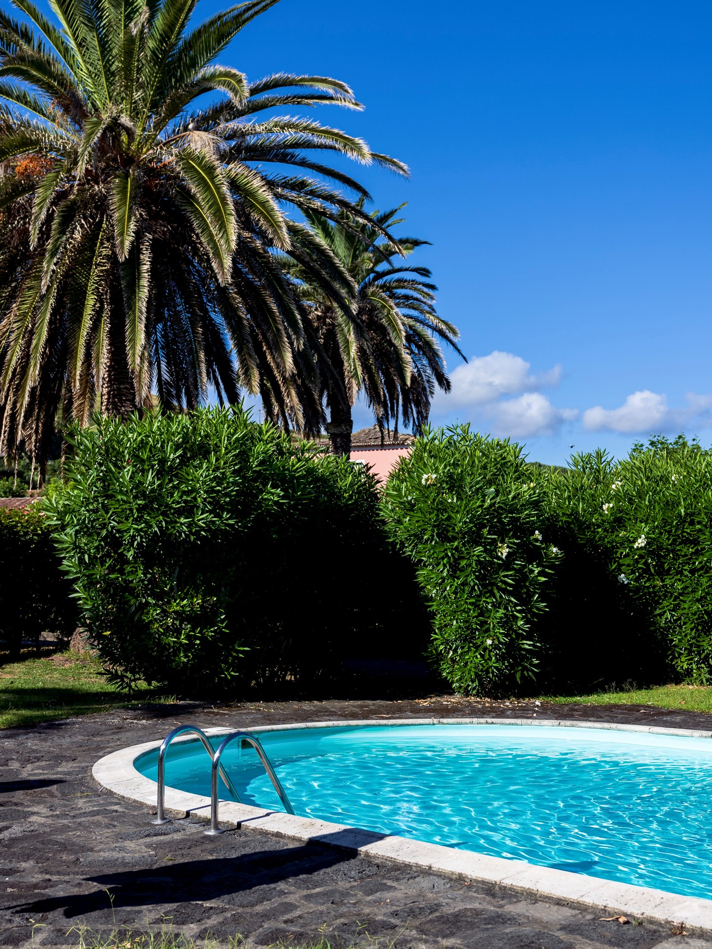 Sunny days by the pool at Solar de Lalém — surrounded by palms, calm, and the sound of the island all around.
#Azores #VisitAzores #PortugalTravel #AzoresIslands #saomiguel