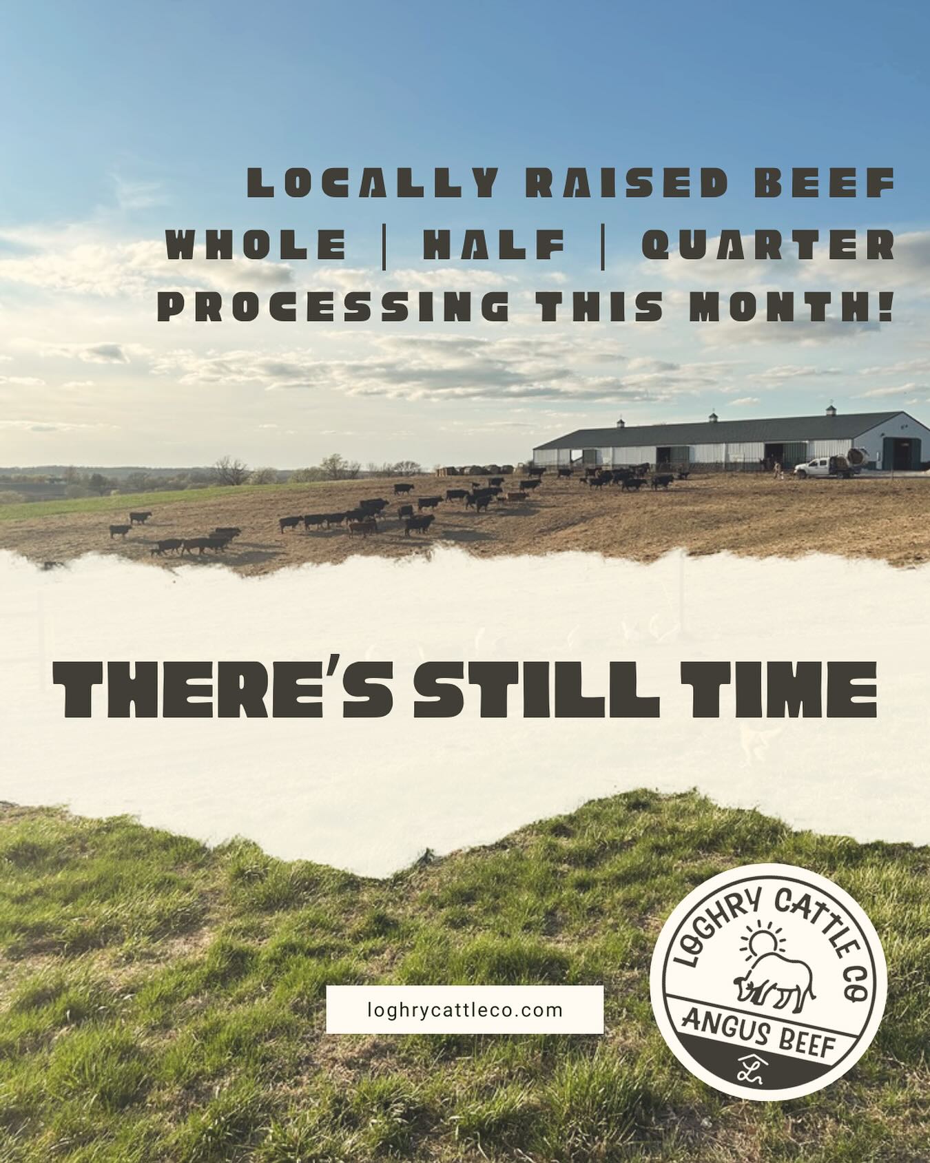 We know 🍁 fall just got here… but winter’s coming… is your freezer ready? ❄️ Reserve your grain-finished angus beef (whole, half, or quarter) today!
#farmtatable #angusbeef #shoplocal #loghrycattleco