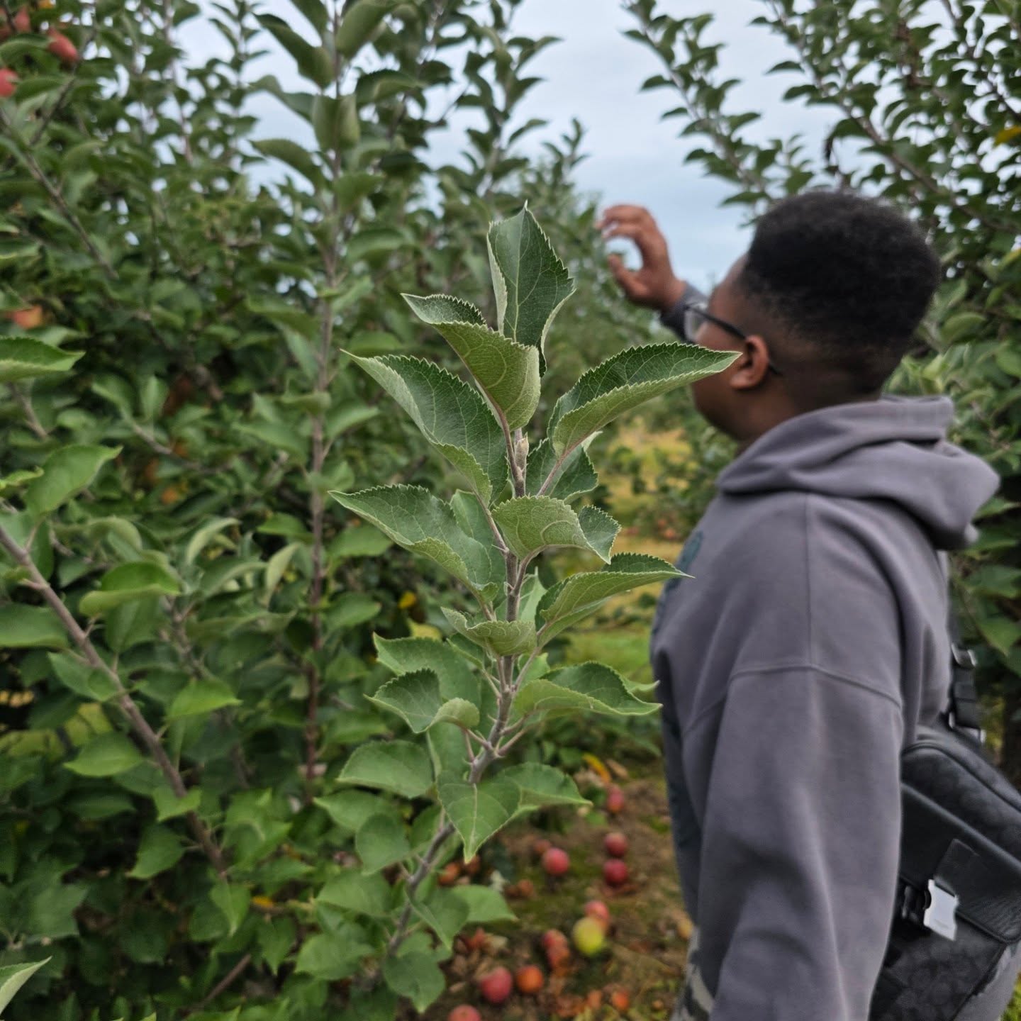 🍎 We came, we picked, we conquered the orchard! Now it’s time to turn these juicy gems into apple pie, apple butter and fried apples!
#appleseason #fallvibes #JohnXCrew #linvillaorchards