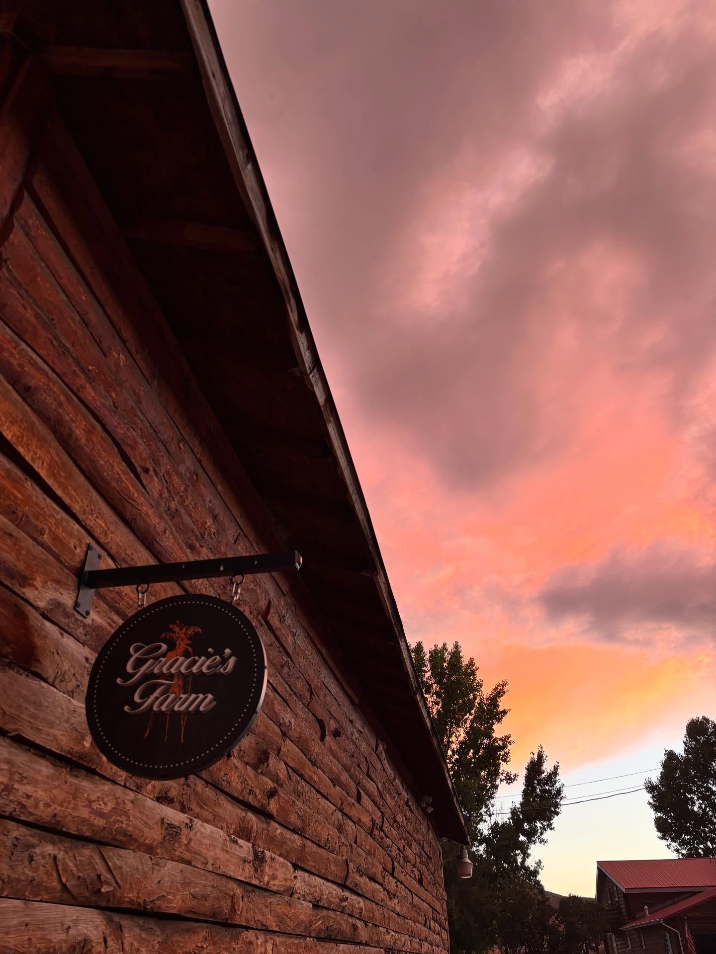 ❄️Farm Update❄️
October 4th’s hail storm turned the remainder of our uncovered crops into confetti 🎉
We are now transitioning into fall/winter operations and celebrating the turn of the season. Thank you all for supporting our Farm Stand, CSA program and Dinner series this year. We loved seeing all of your faces on the farm!
🍁That being said- Farm Stand Fridays and Smokewood BBQ will be weather dependent throughout the rest of October. For the most up-to-date information, follow along on Instagram and sign up for fun emails from Lynsey (through our website 🔗 link in bio) to make sure we are open before you come to the farm.
Stay tuned, we still have veggies for ya 🍅
Your Local Farmhers 👩🏽🌾