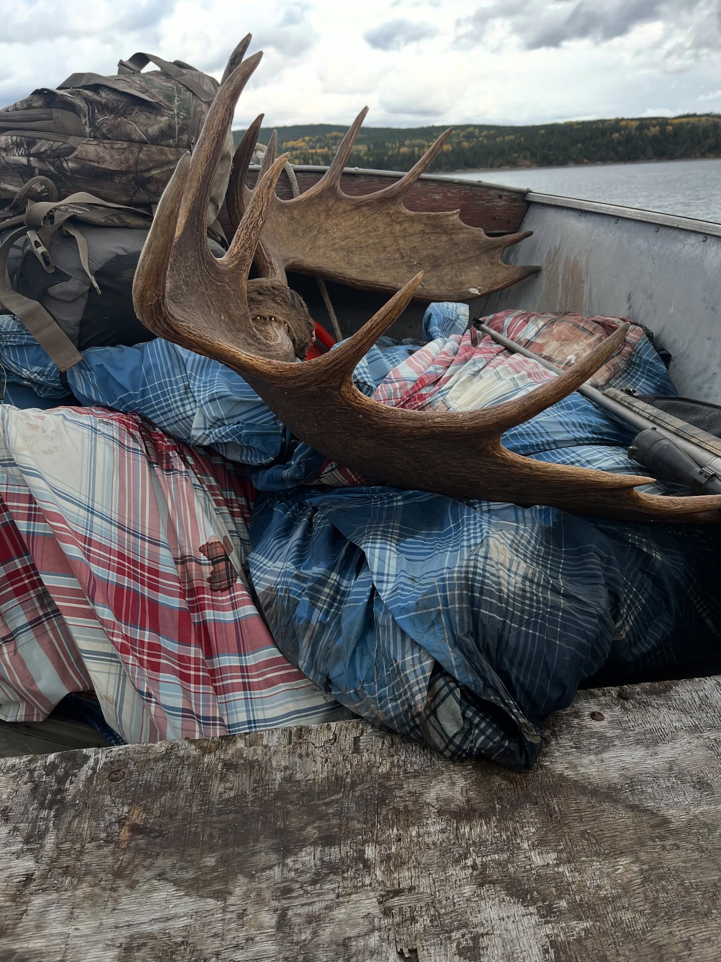 Moose hunting success. What a great trip. Lots of meat for the freezer and memories I’ll never forget. You Tube videos back up and at it.
