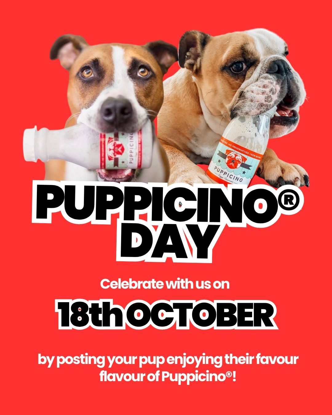 It's that time of year again! PUPPICINO DAY IS COMING! 🐶🥰
