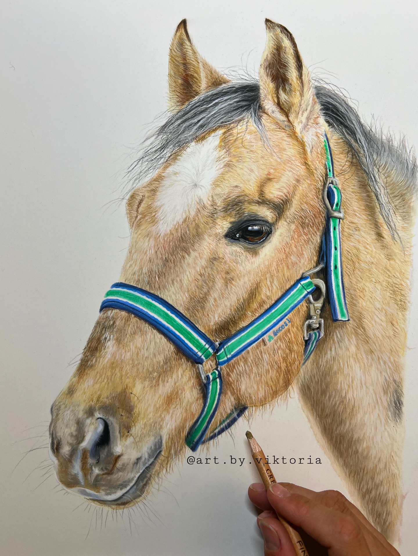 PASTELL Pferdeporträt
Eine so spannende Farbe! Das hat wirklich Spaß gemacht zu zeichnen!
✨🌈✨
#pasteldrawing #horseart #artbyviktoria #pferdeliebe #pferdezeichnung #pastellstifte